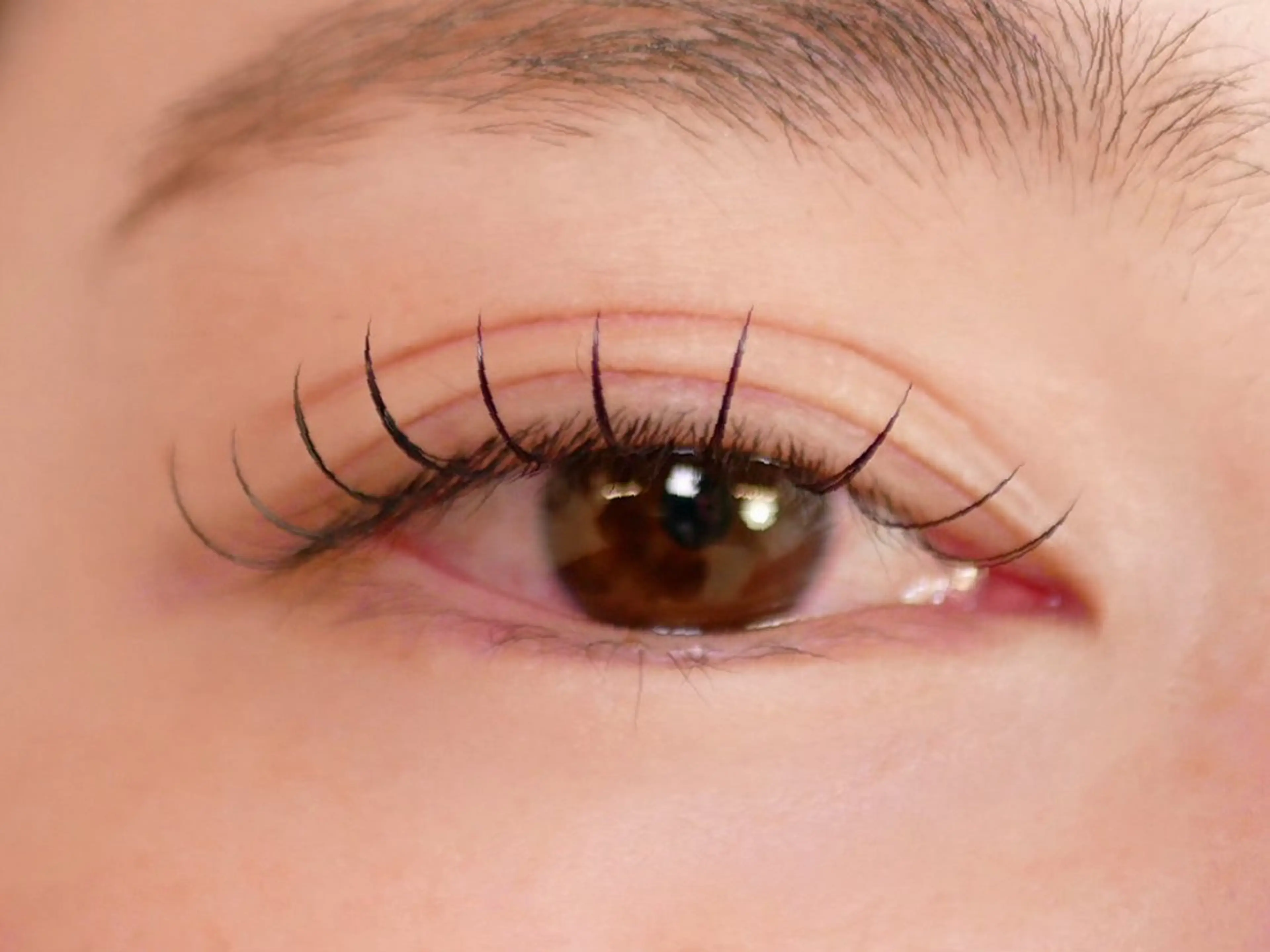 マツエク・マツパ Fameu+ HIMEKAのマツエク・マツパデザイン