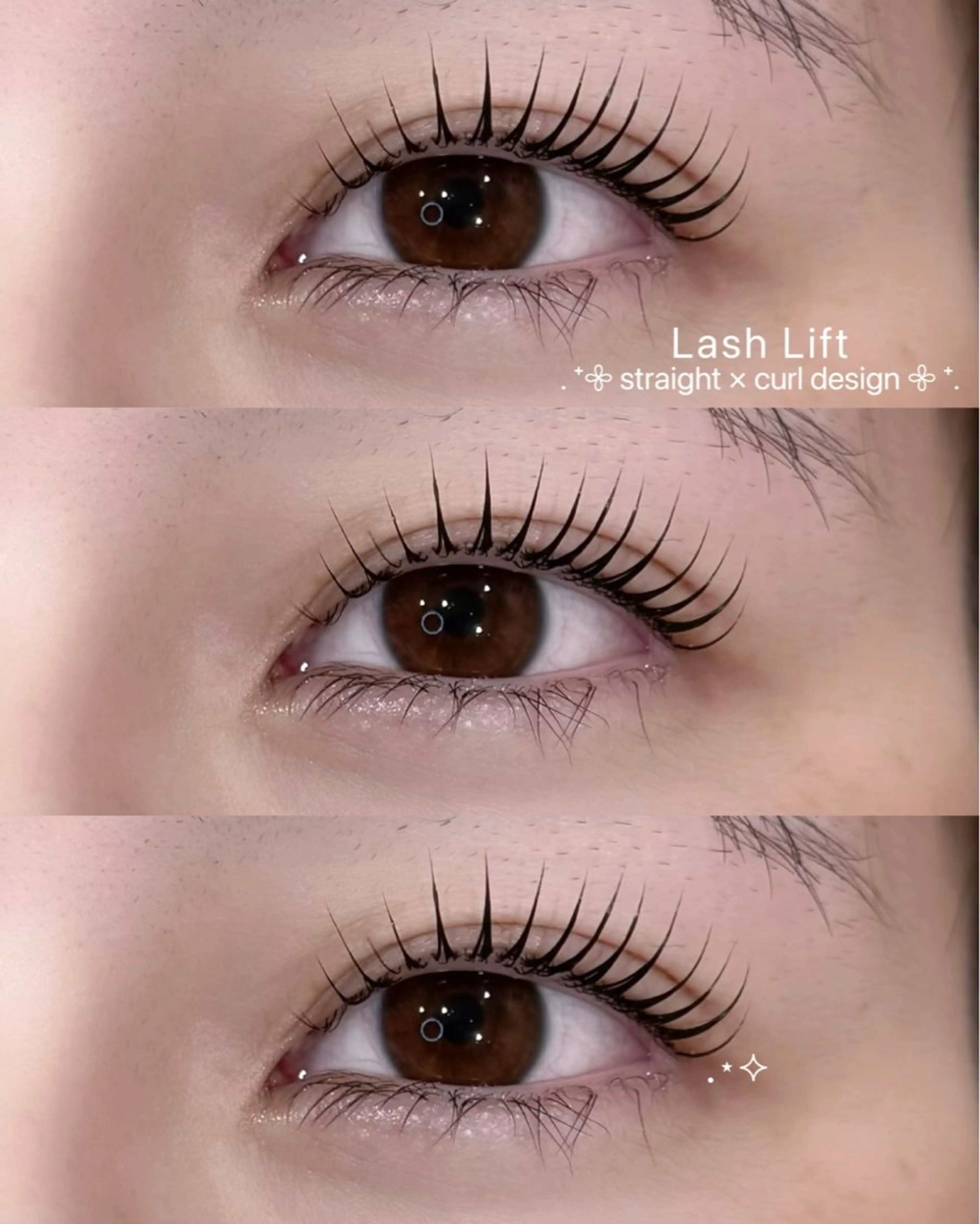 【minimo限定価格】🦋 大人気 🦋🌱まつ毛パーマ +アイシャンプー付🌱🫧の写真