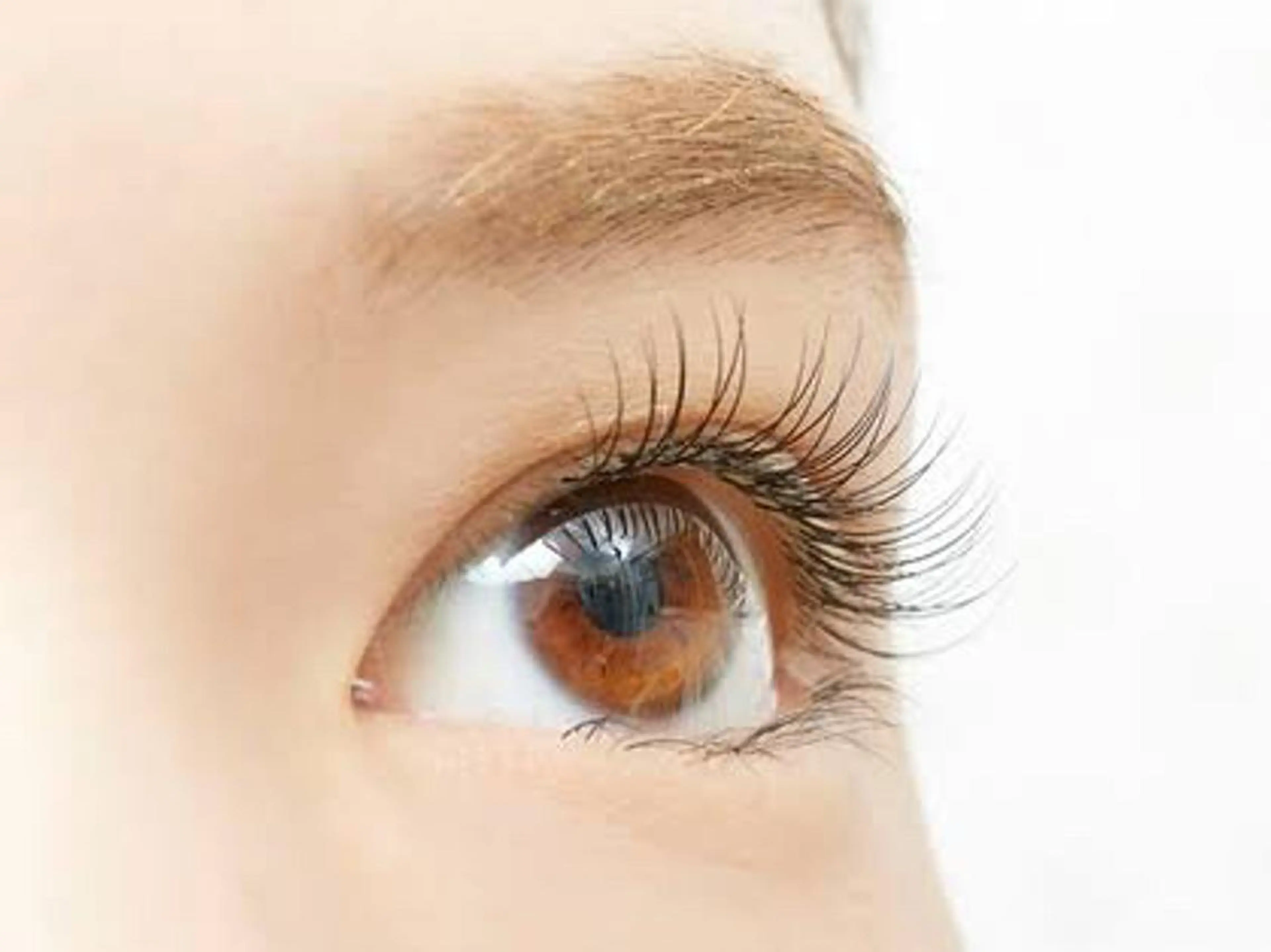 マツエク・マツパ ナチュラル eyelash サンクチュアリ 横浜のマツエク・マツパデザイン