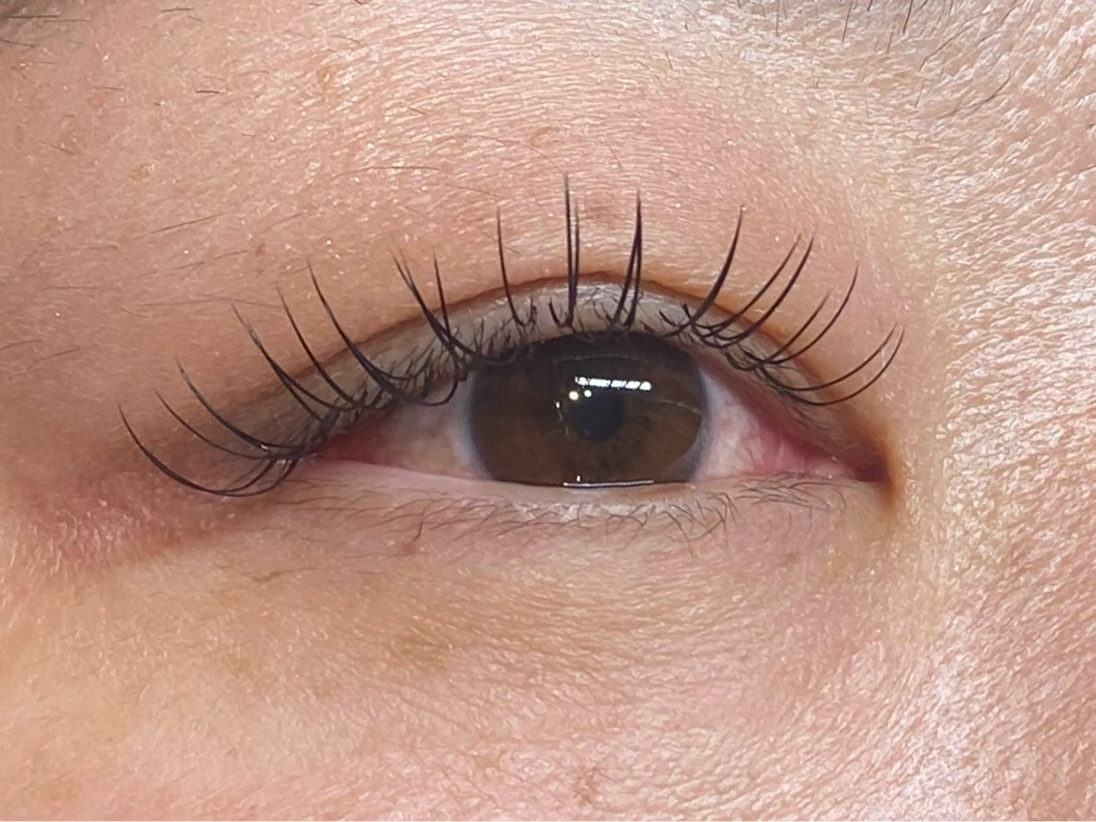 マツエク・マツパ フラットラッシュ rich to刈谷店所属・志村 早紀のマツエク・マツパデザイン