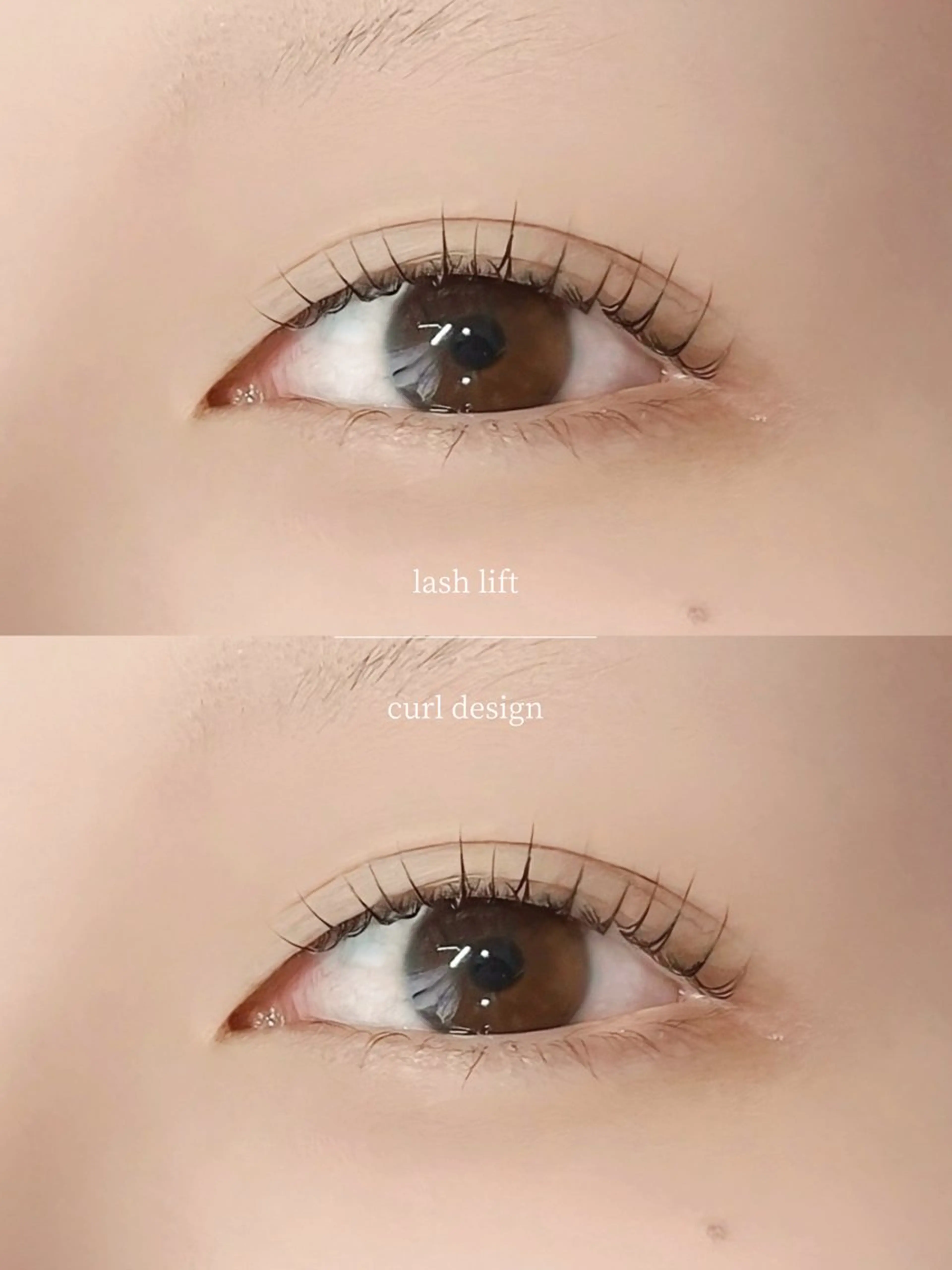 マツエク・マツパ マツパ Lily🤍 rimiのマツエク・マツパデザイン