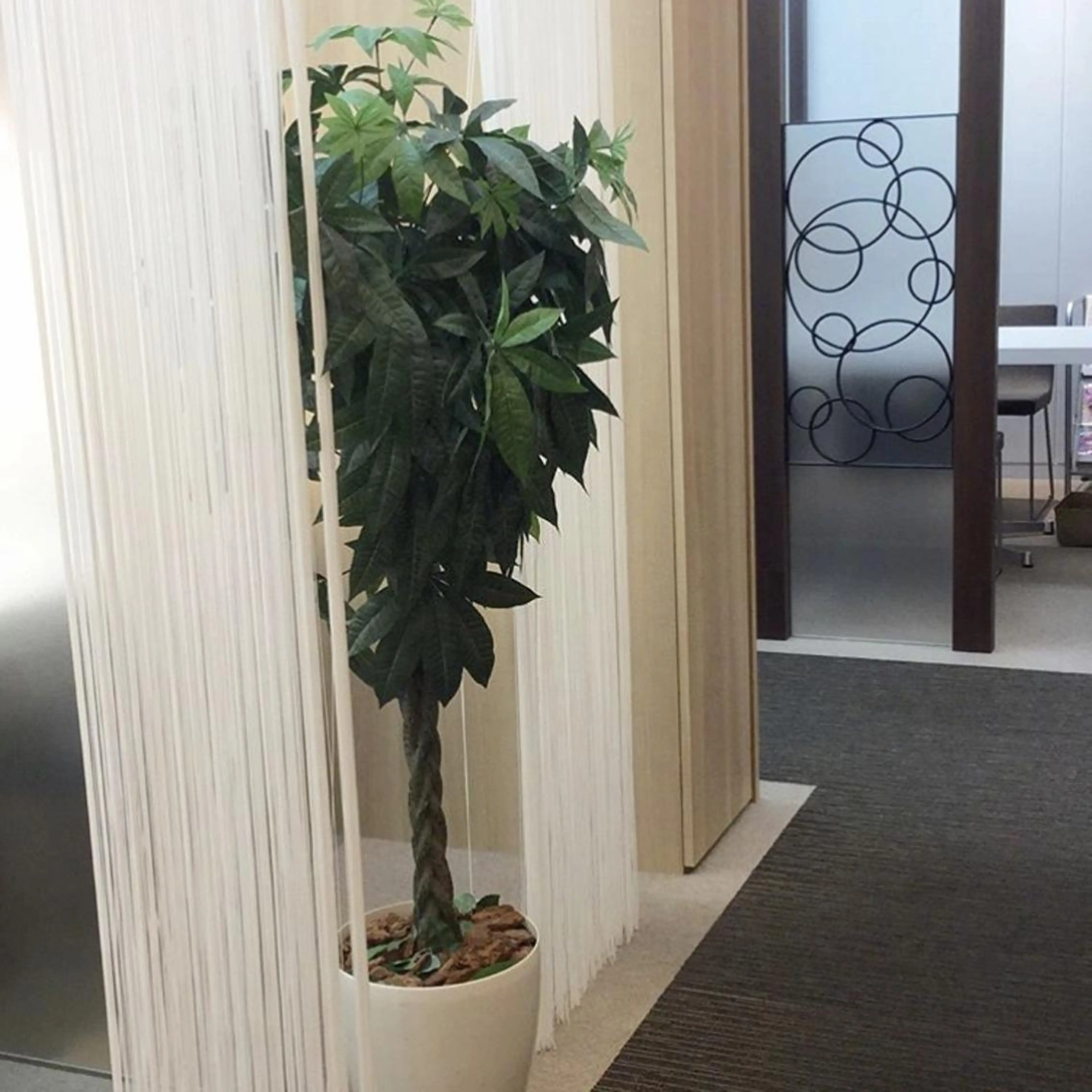 🗻エステティック RAYVIS藤🐈のエステ・リラクイメージ