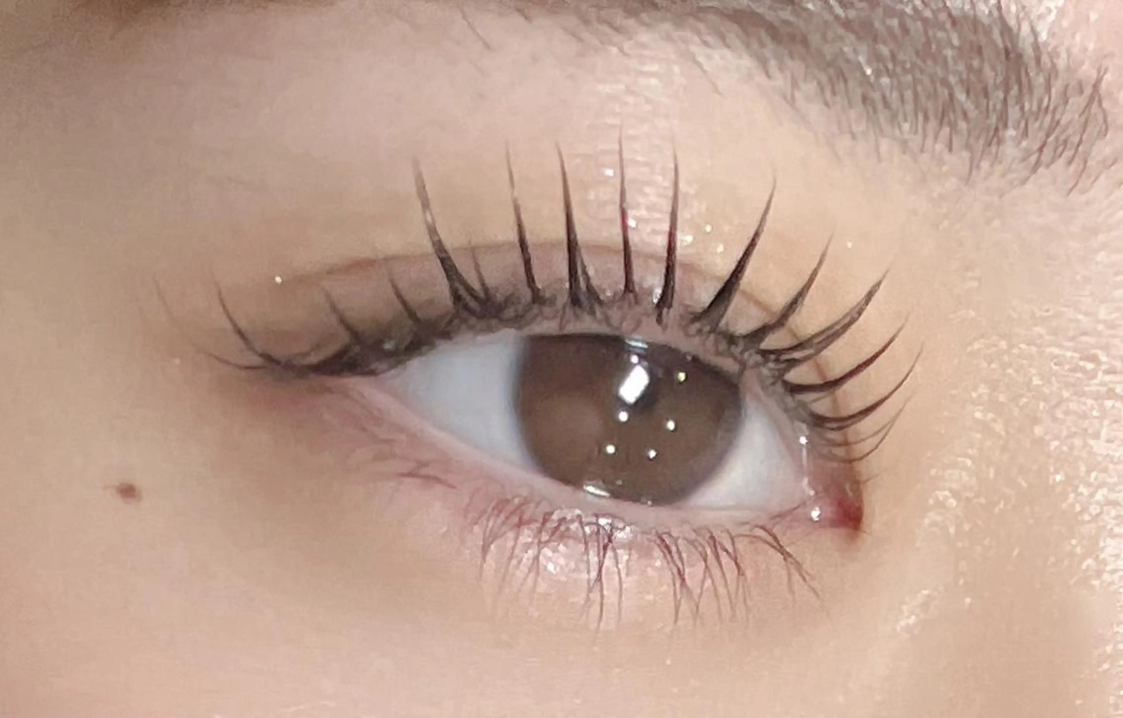 パリジェンヌorラッシュリフト（まつ毛パーマ上のみ）トリートメント込み¥5500の写真