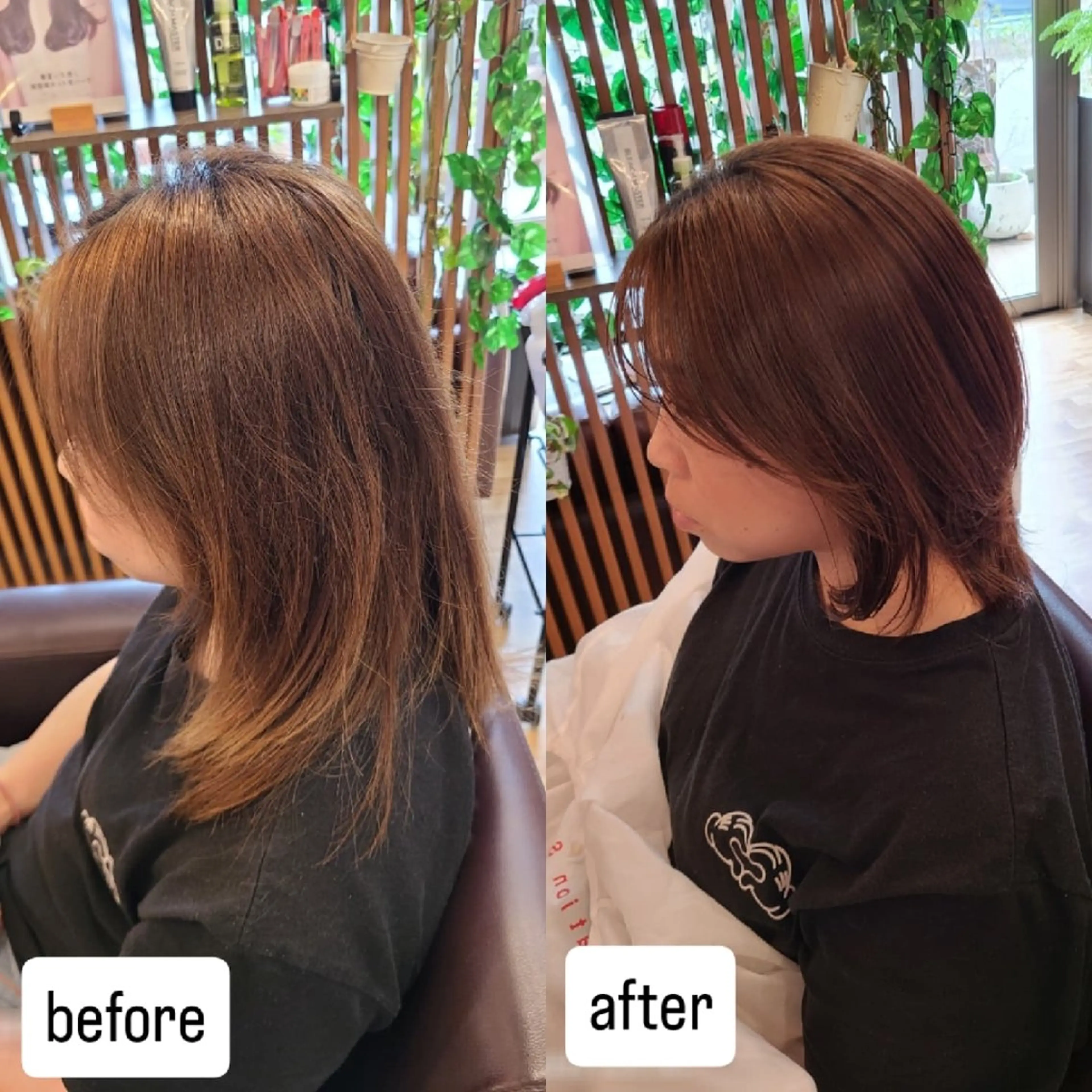 ミディアム シ マのヘアスタイル