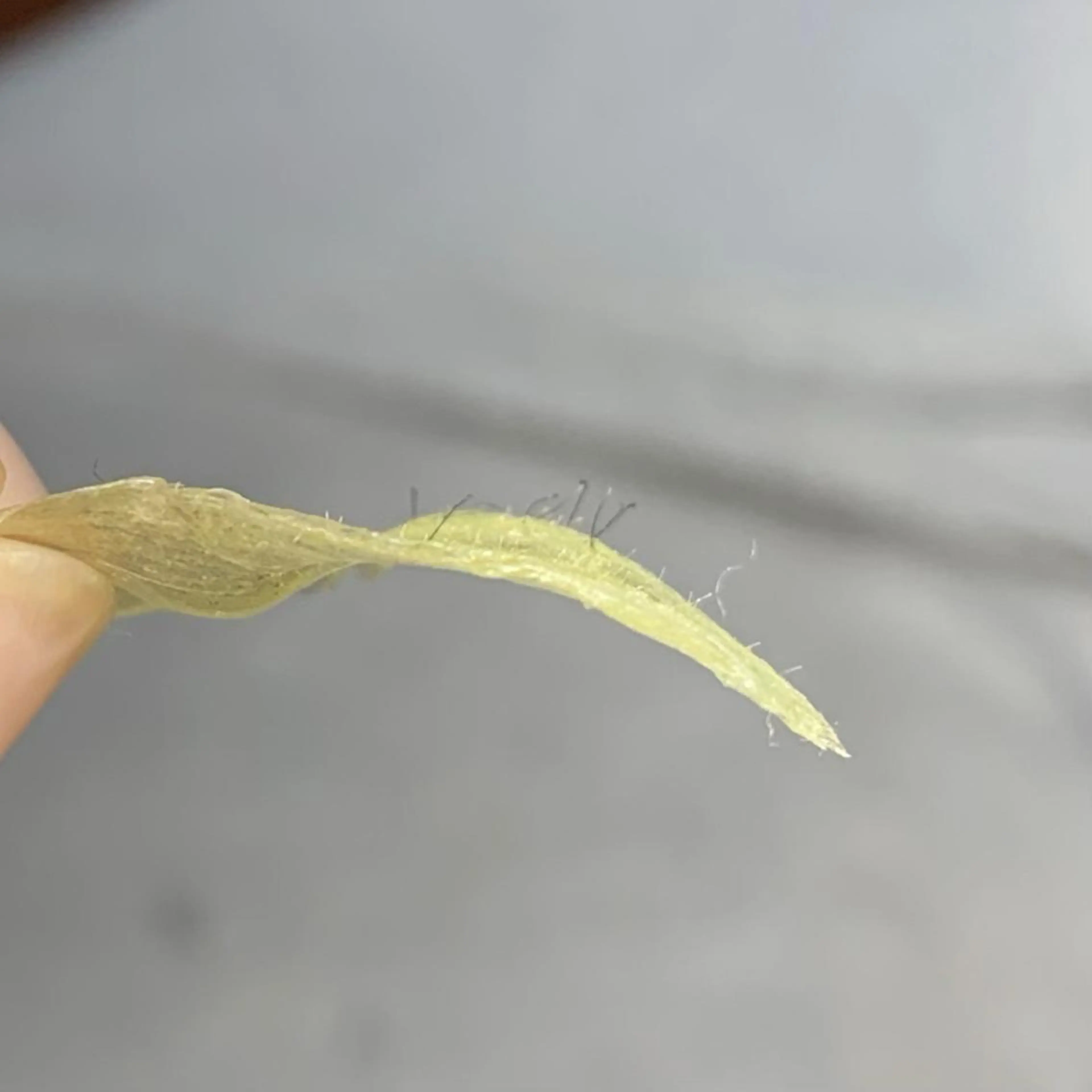 Nail&Wax by ENのネイルデザイン