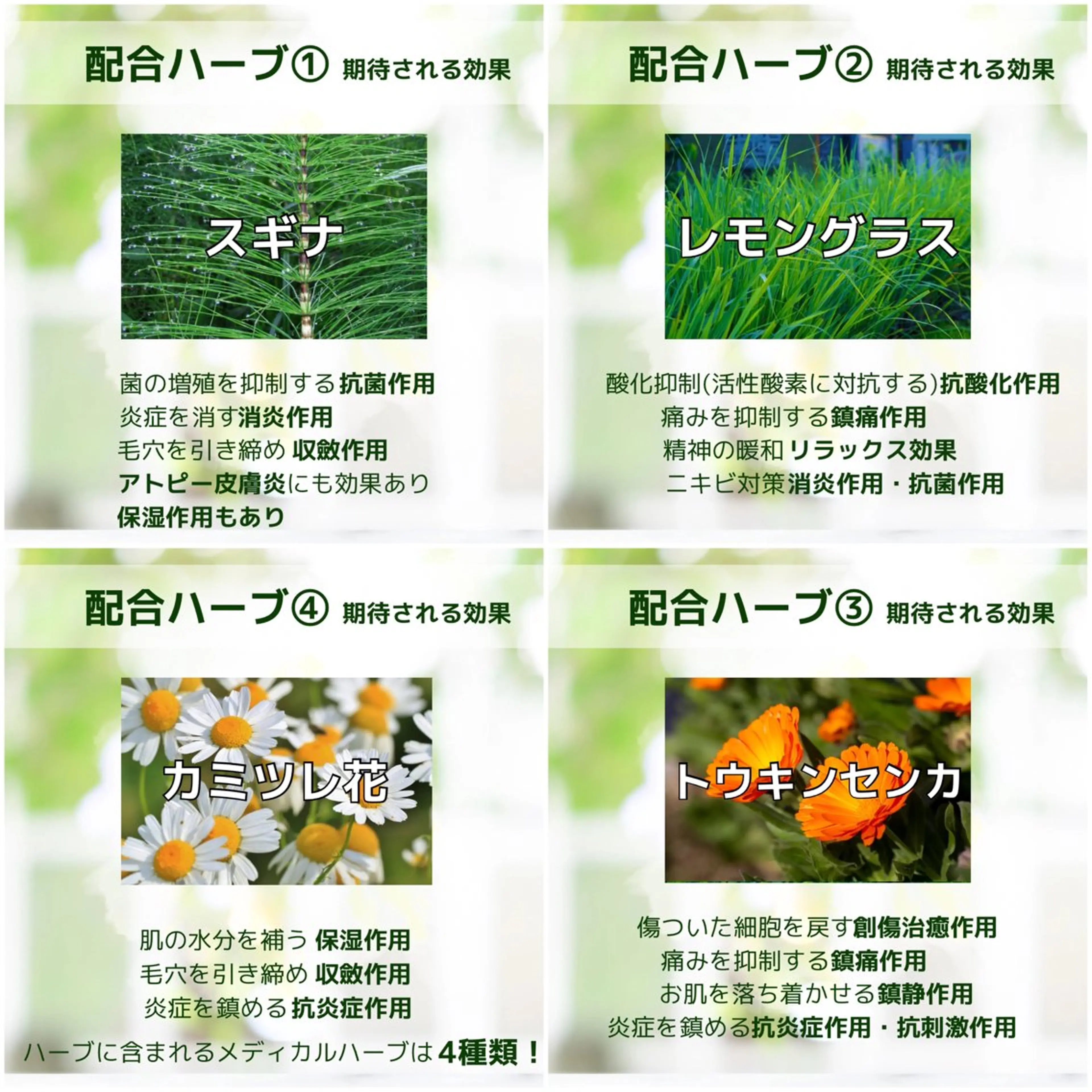 その他 SELF  BEAUTY gracia浦添店所属・gracia 浦添店のその他イメージ