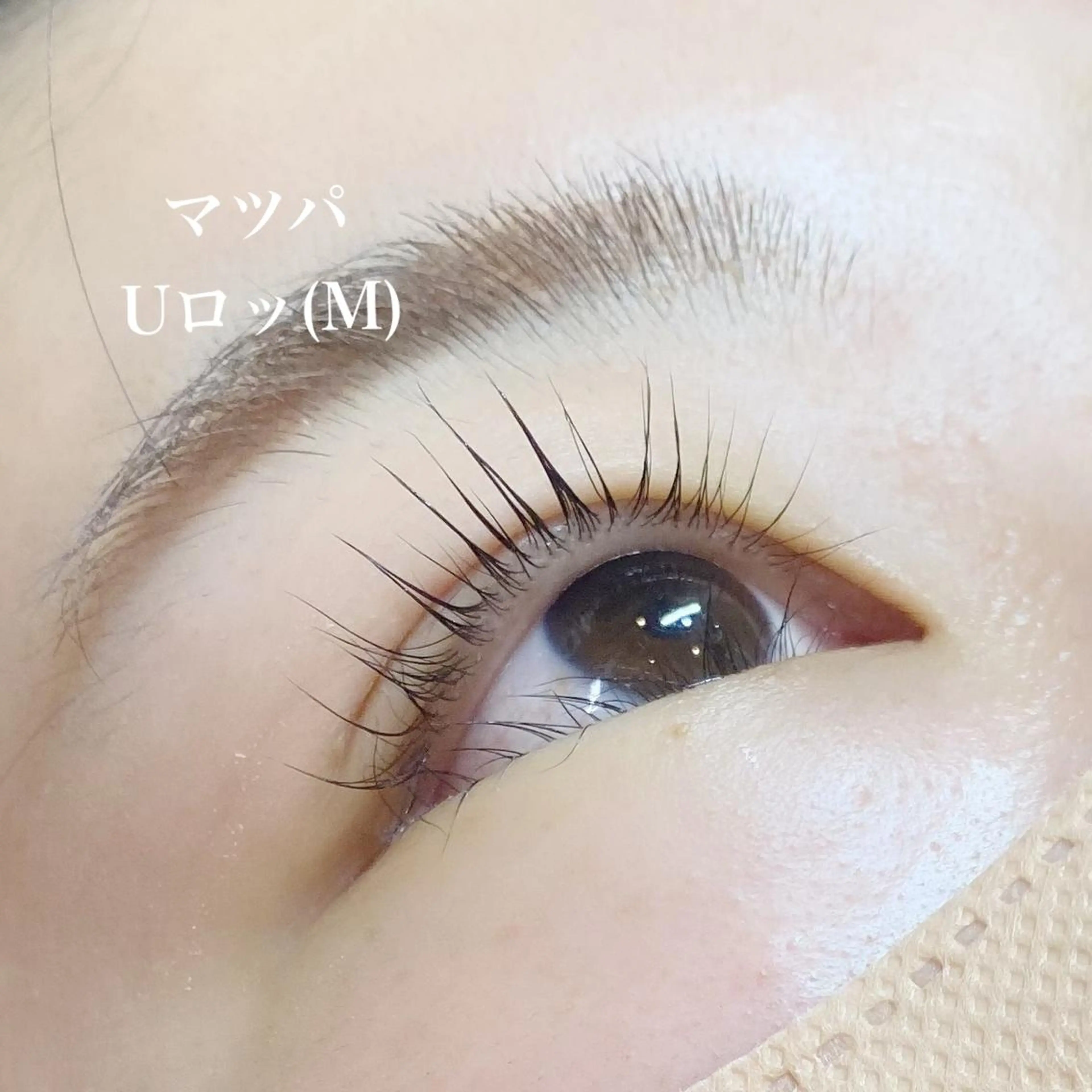 マツエク・マツパ 一重×まつ毛パーマ eyelash cornなつみのマツエク・マツパデザイン
