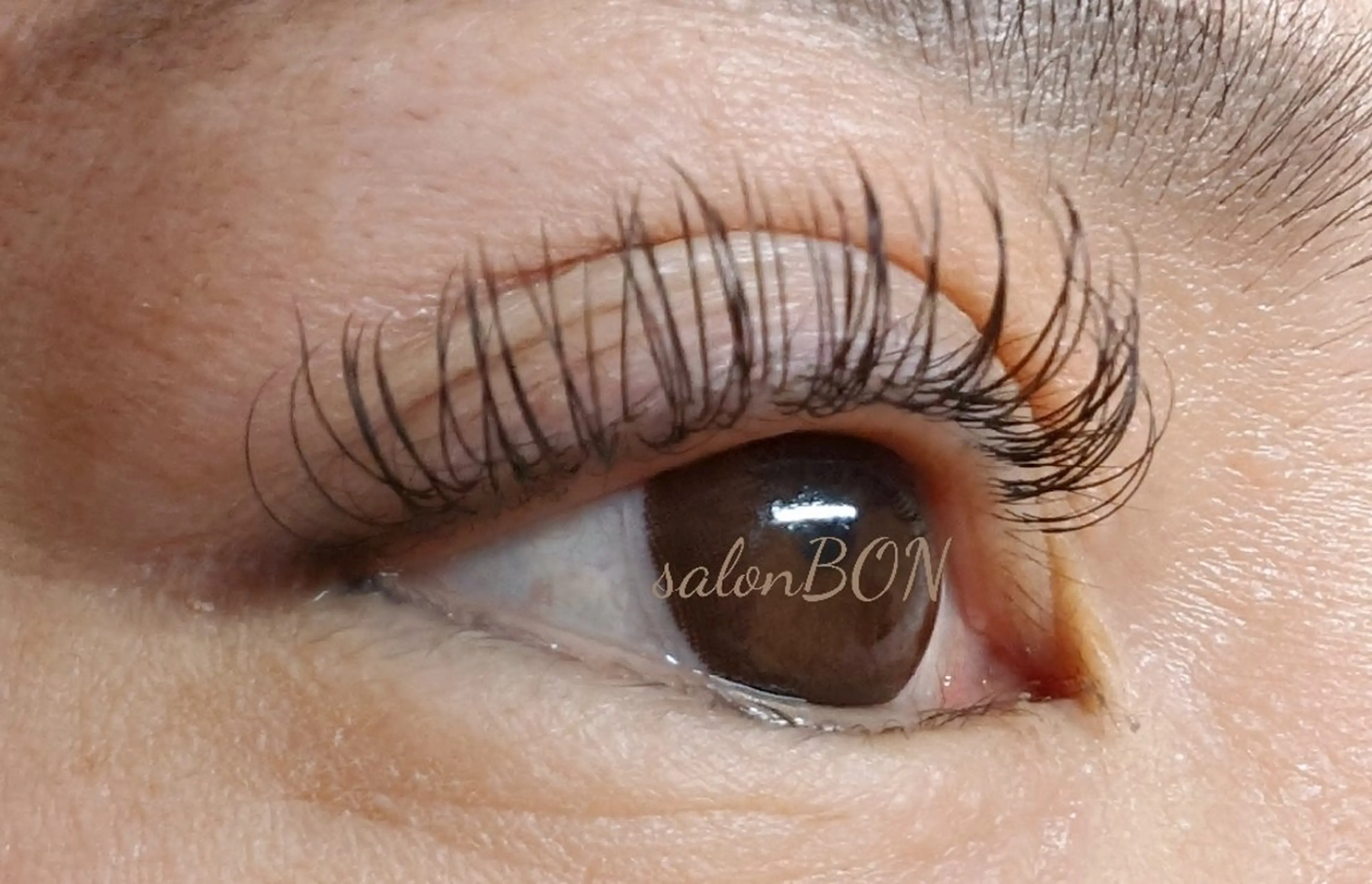 マツエク・マツパ Dカール フラットラッシュ eyelash salon BON所属・salonBON サロンボンのマツエク・マツパデザイン