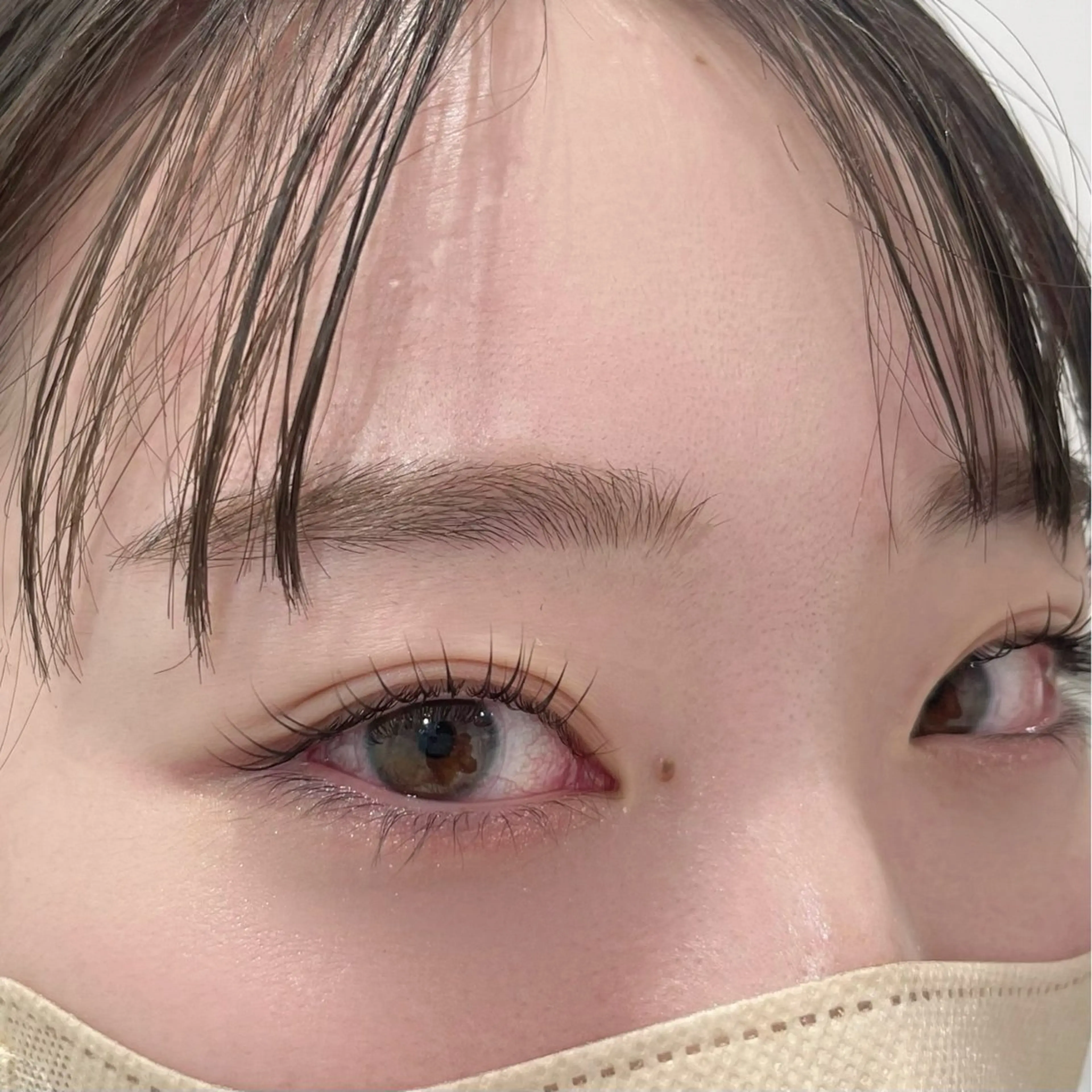 【お得なセットメニュー】似合わせまつ毛パーマメニュー＋アイブロウケア🌻の写真