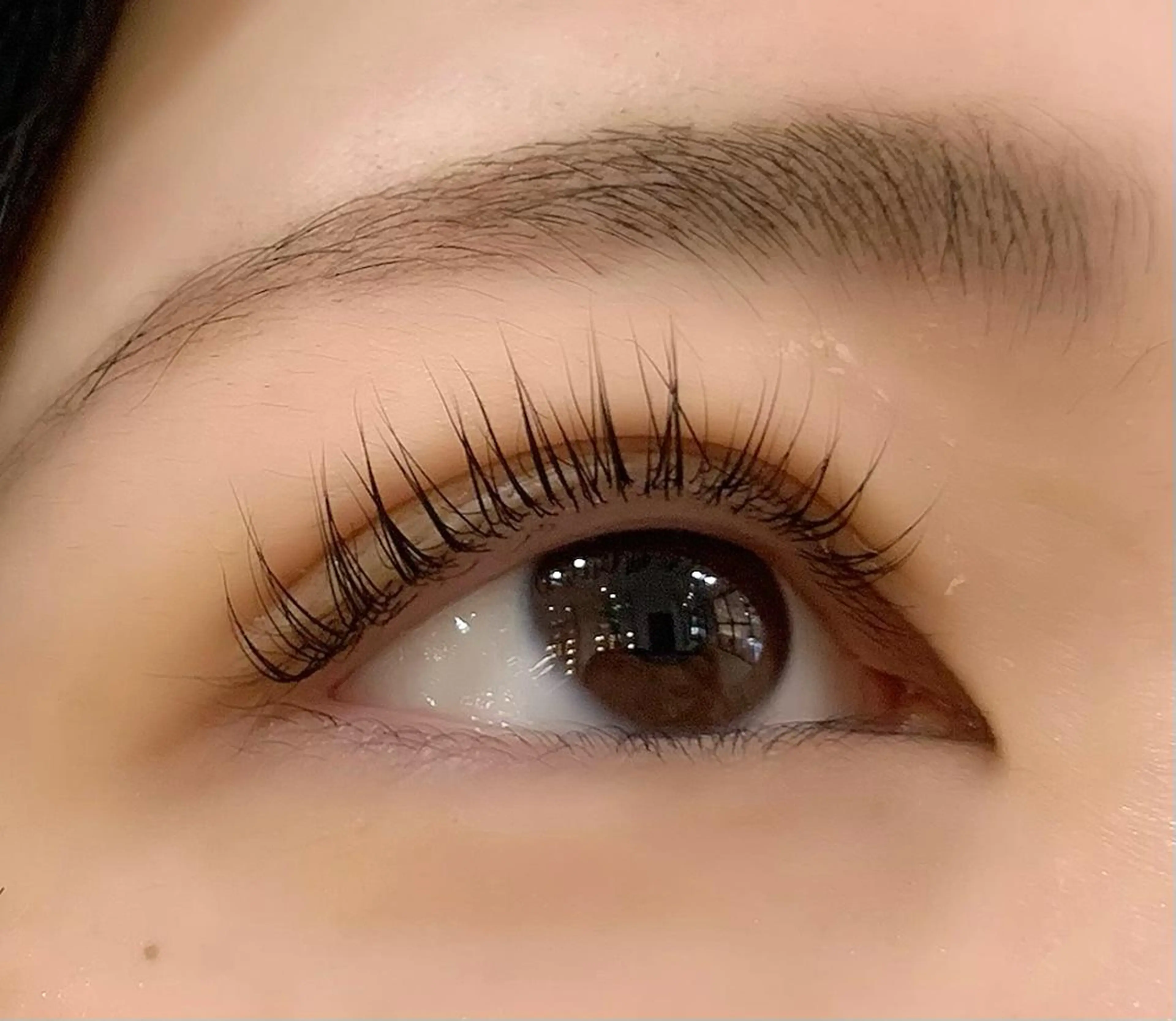 マツエク・マツパ パリジェンヌラッシュリフト Celeste Venus所属・🧸Celeste Venusのマツエク・マツパデザイン