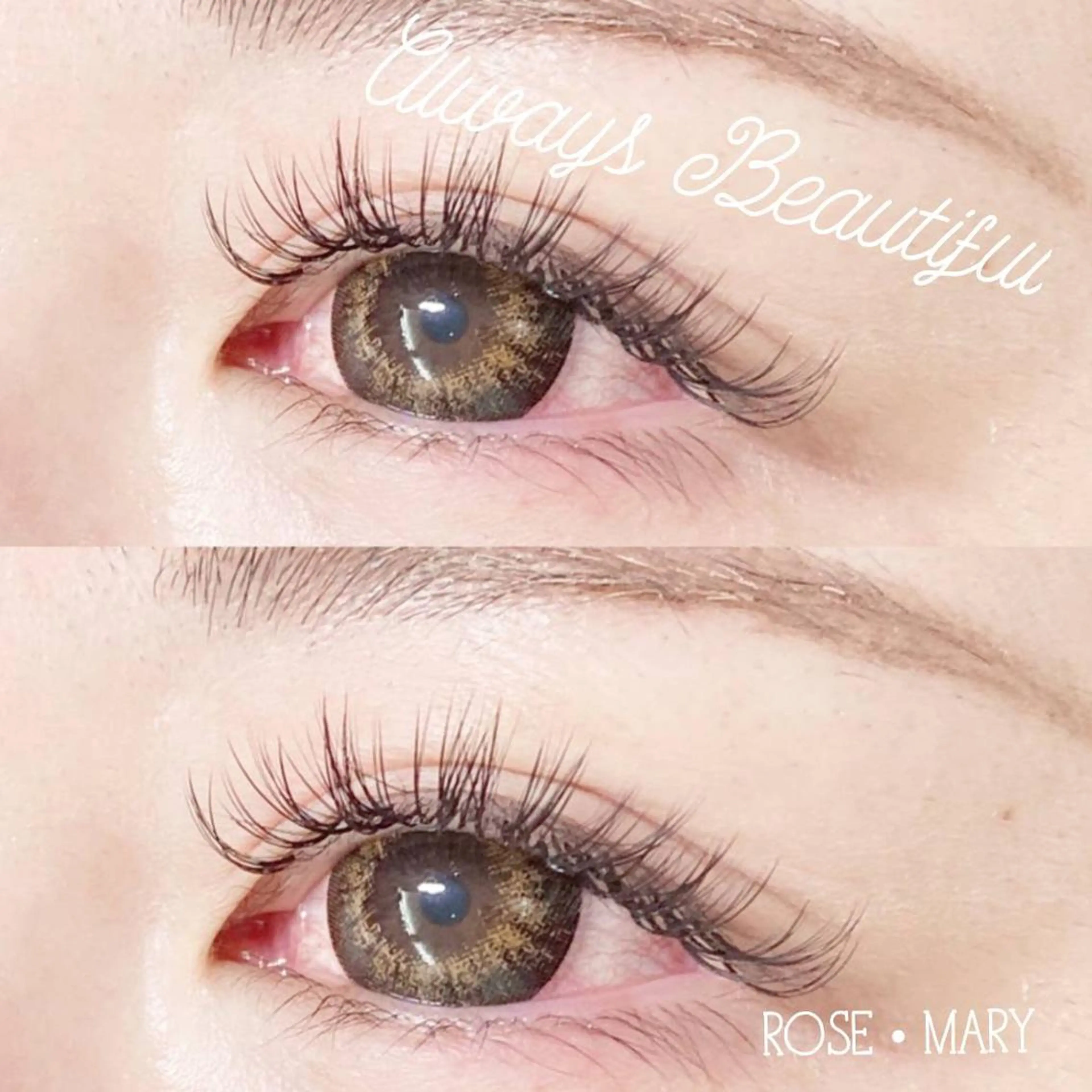 マツエク・マツパ Cカール マツエク ROSE MARY 大竹のマツエク・マツパデザイン