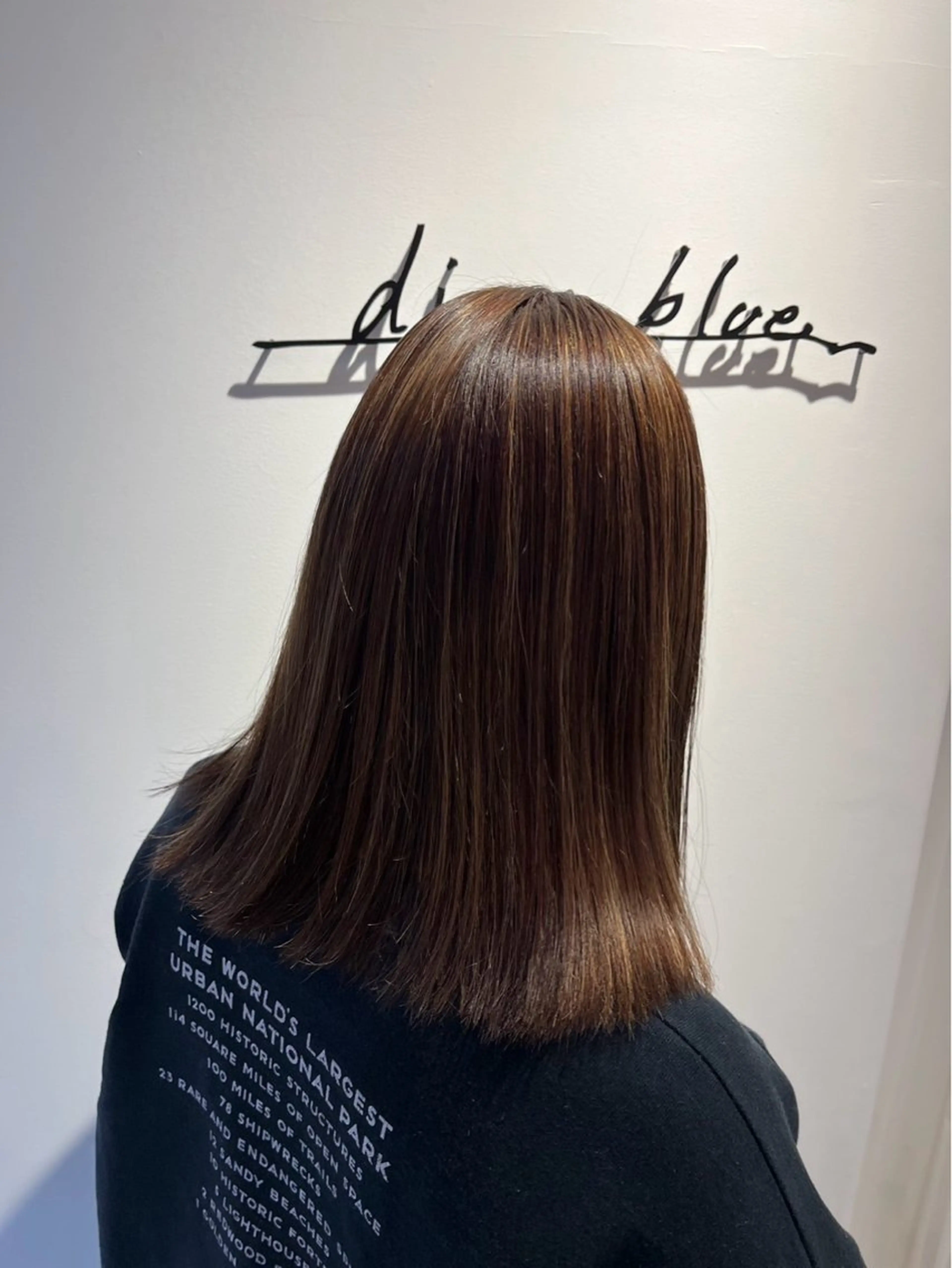 ミディアム ハイライト diar湘南台所属・スガワラ　メグミ/ 湘南台/カットモデルのヘアスタイル