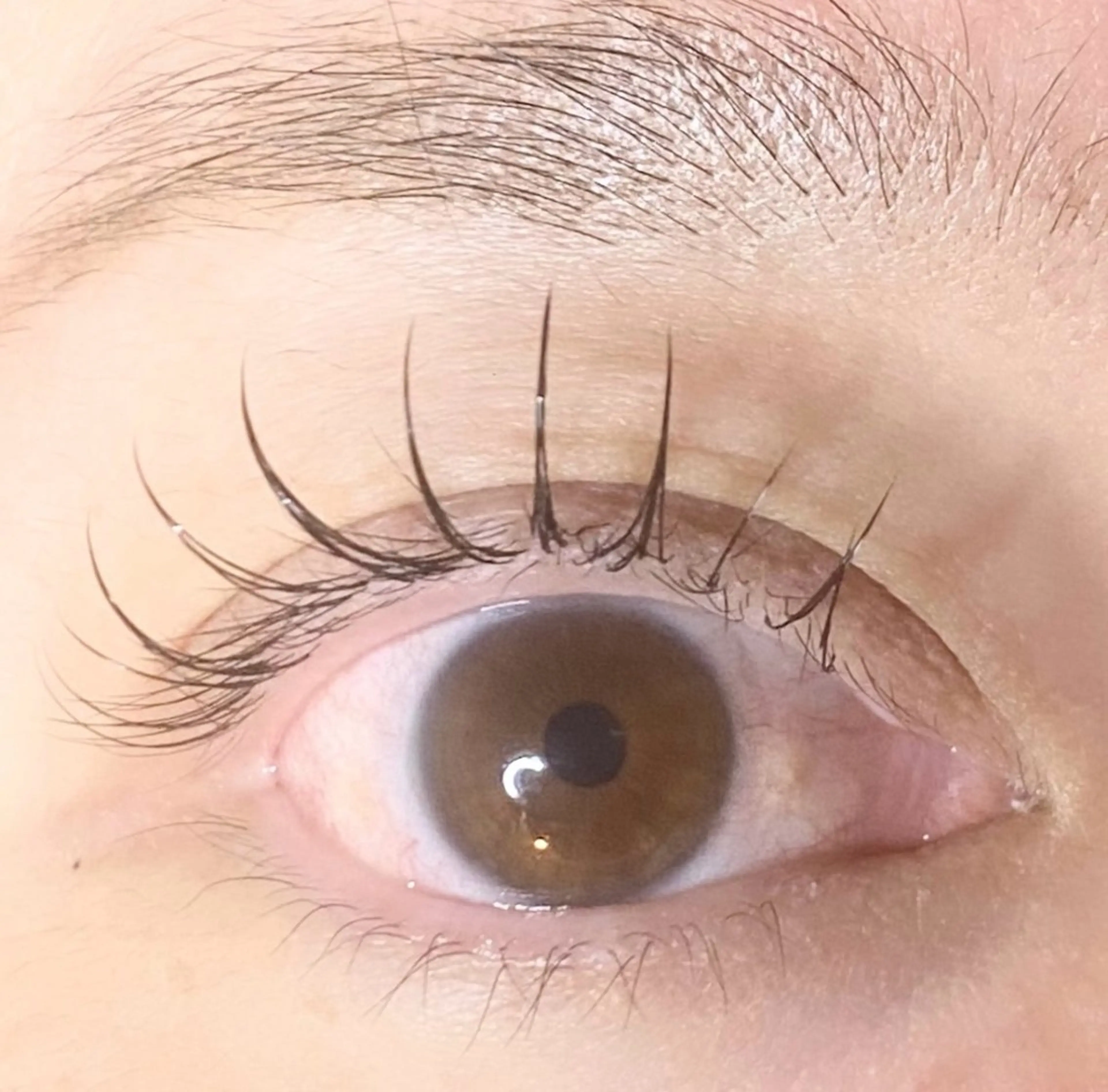 マツエク・マツパ マツエク de Grace Amiのマツエク・マツパデザイン