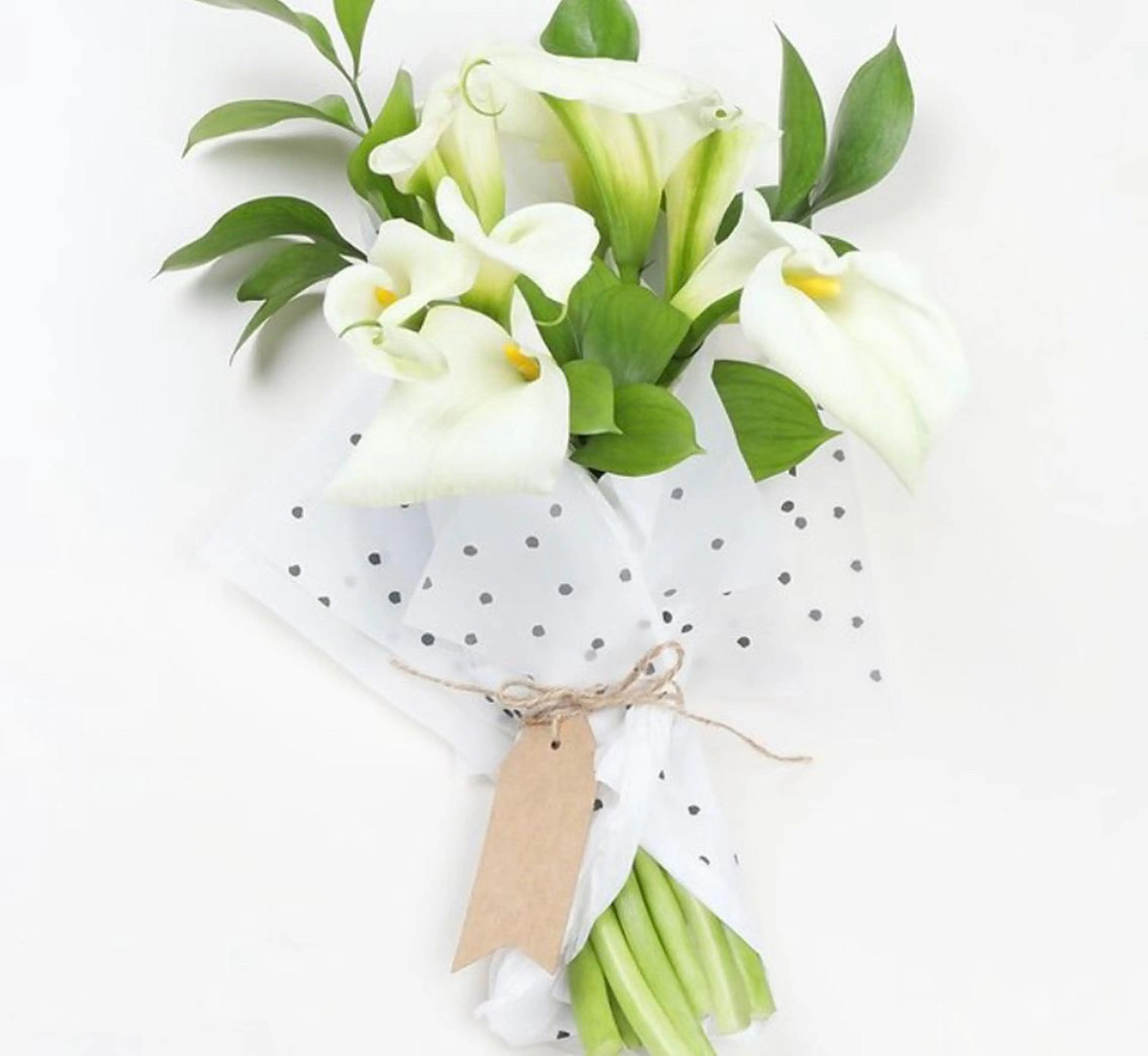 セルフホワイトニングサロン　ラヴィアン所属・ホワイトニングサロン La vie enのその他イメージ