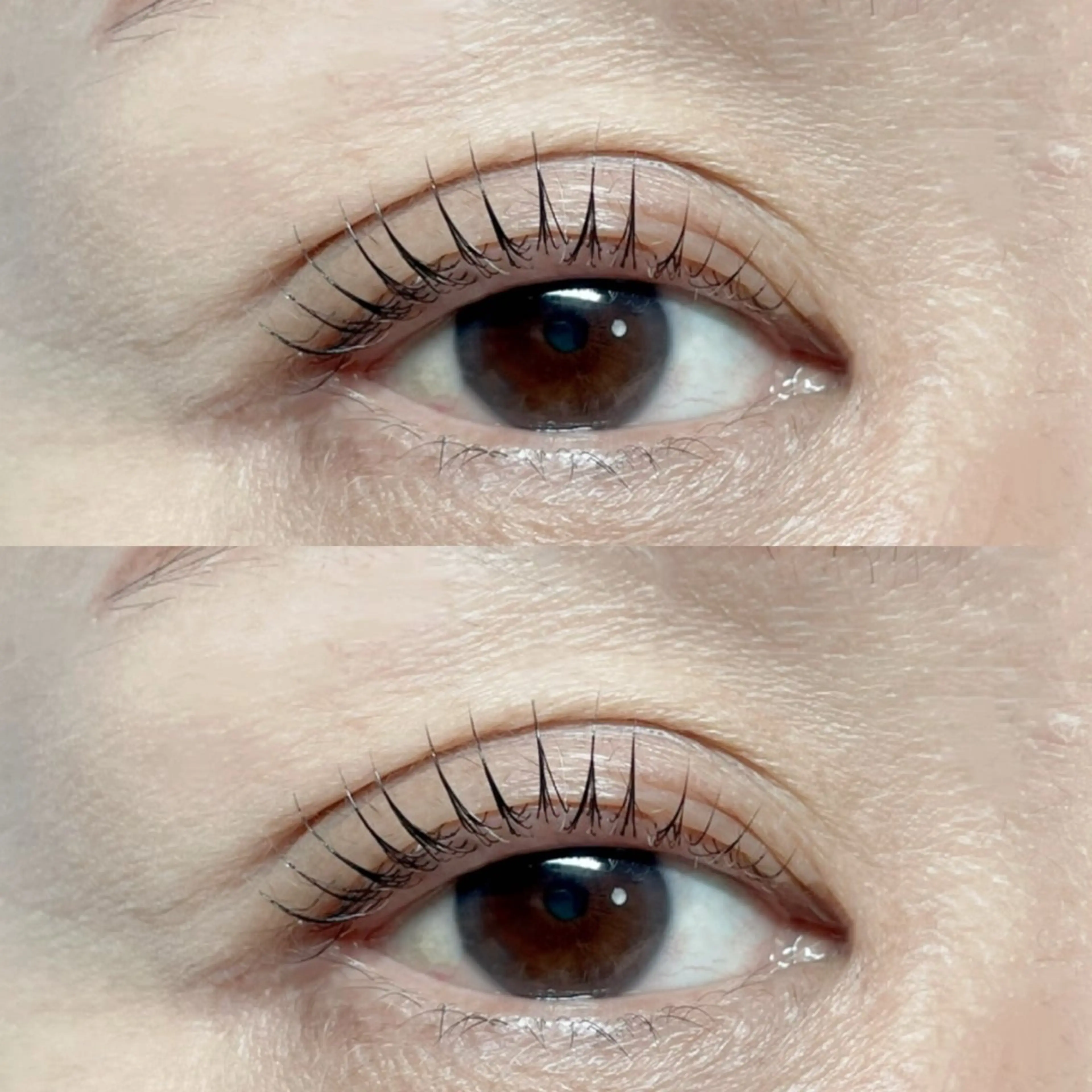 マツエク・マツパ ARPEGE 溝の口所属・Eyelash ARPEGE 溝の口のマツエク・マツパデザイン