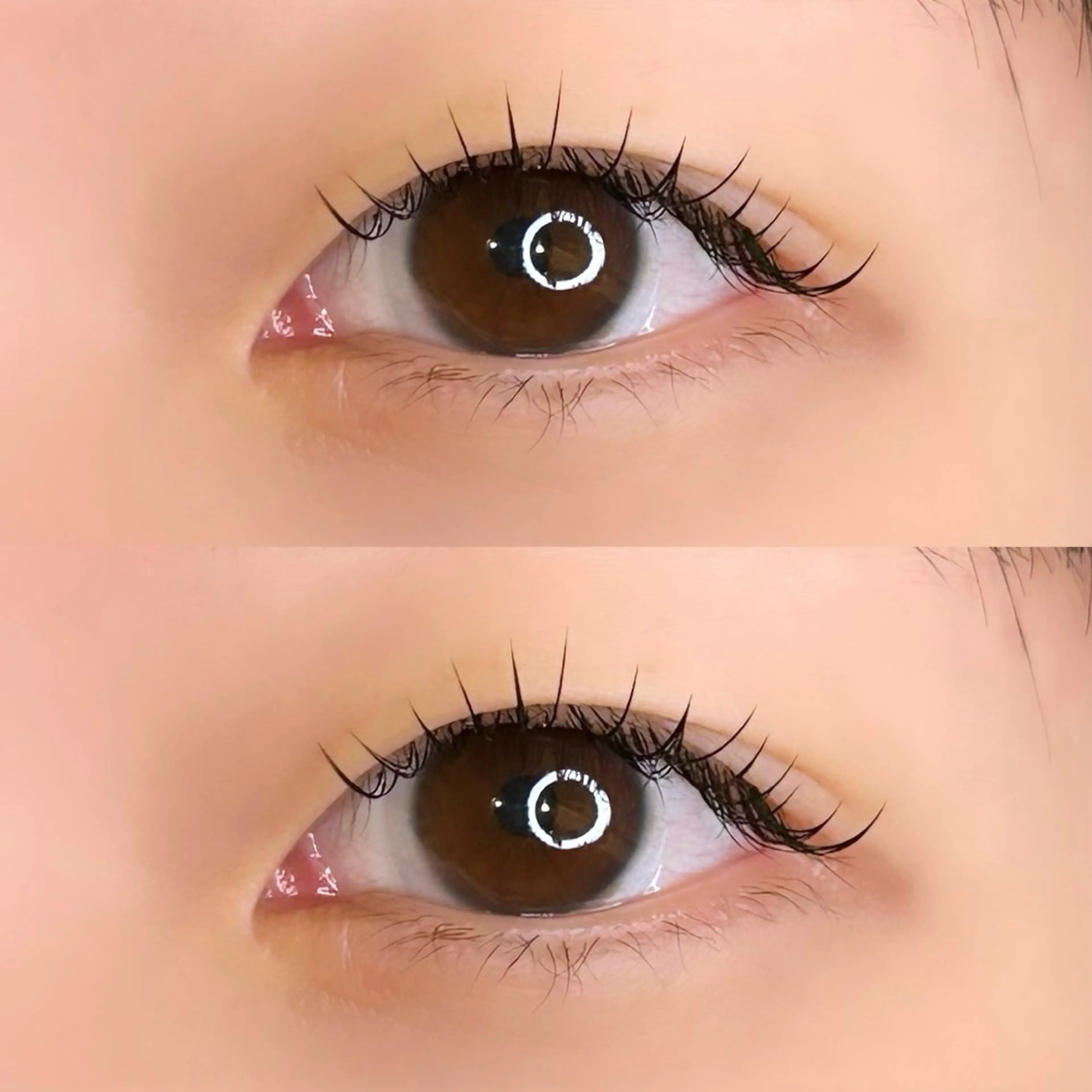 マツエク・マツパ 束感まつ毛 Cカール まつパ/マツエク/ 渋谷momokaのマツエク・マツパデザイン