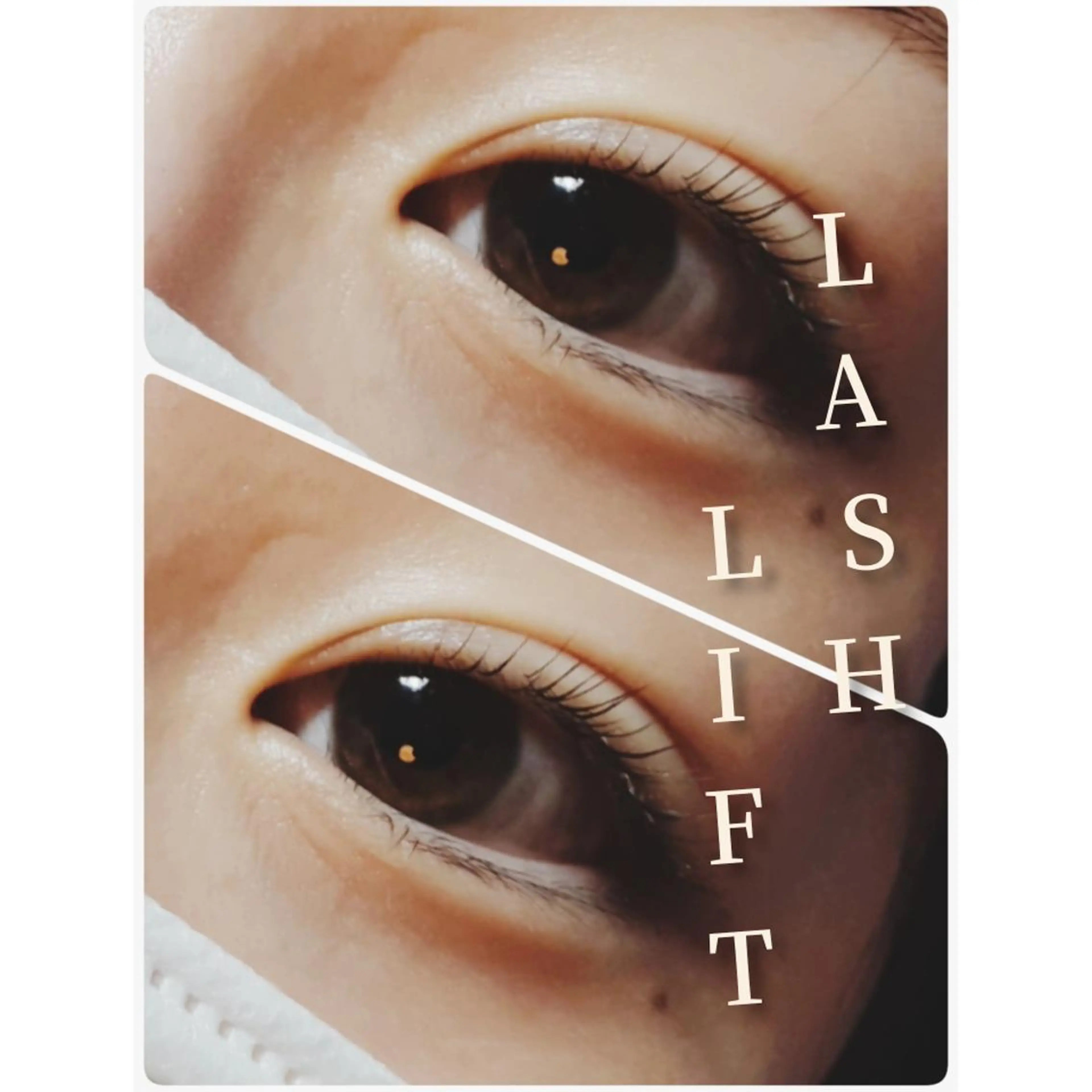 マツエク・マツパ マツパ Mola. eye&beauty salon所属・【Mola.】 eyelashのマツエク・マツパデザイン