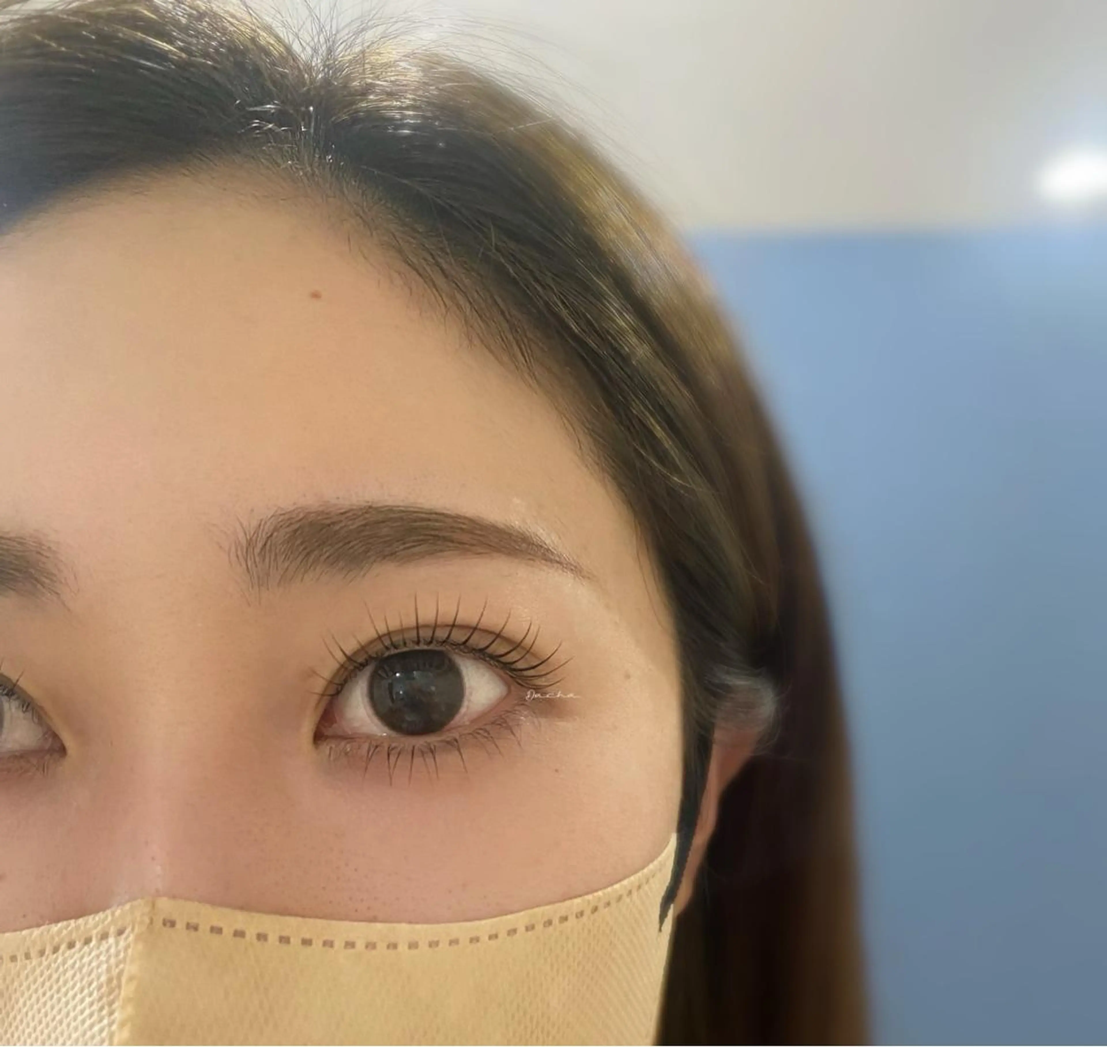 マツエク・マツパ 一重×まつ毛パーマ Dacha傷めない 大人のまつ毛屋さんの眉毛・アイブロウイメージ