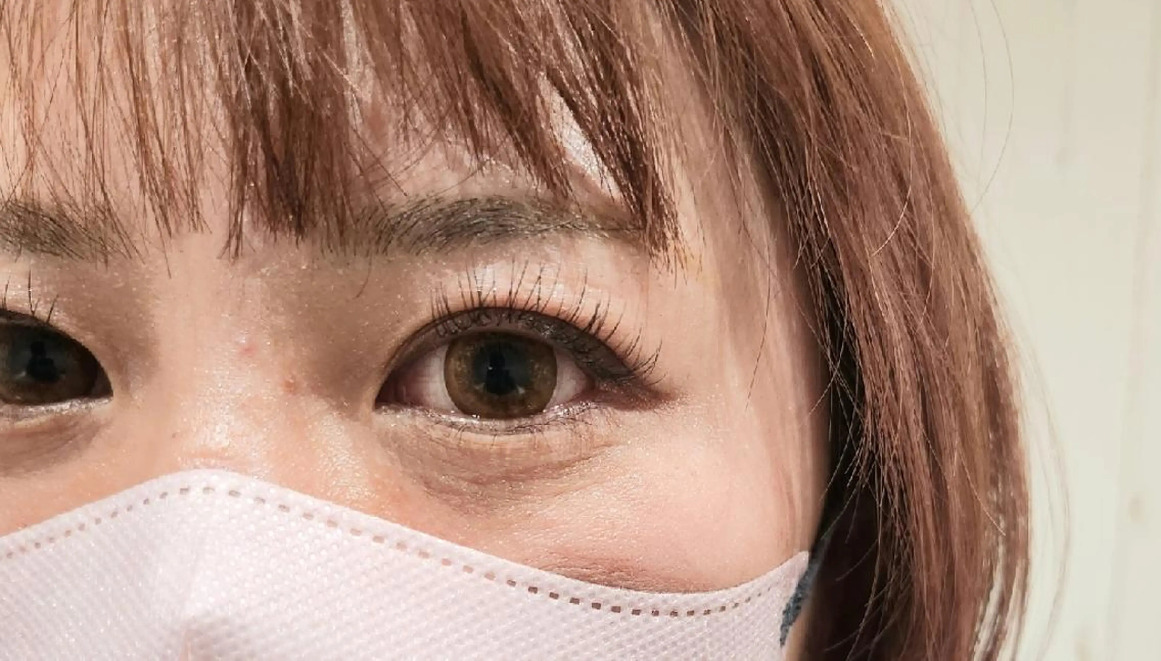 グードラッシュ 100本の写真