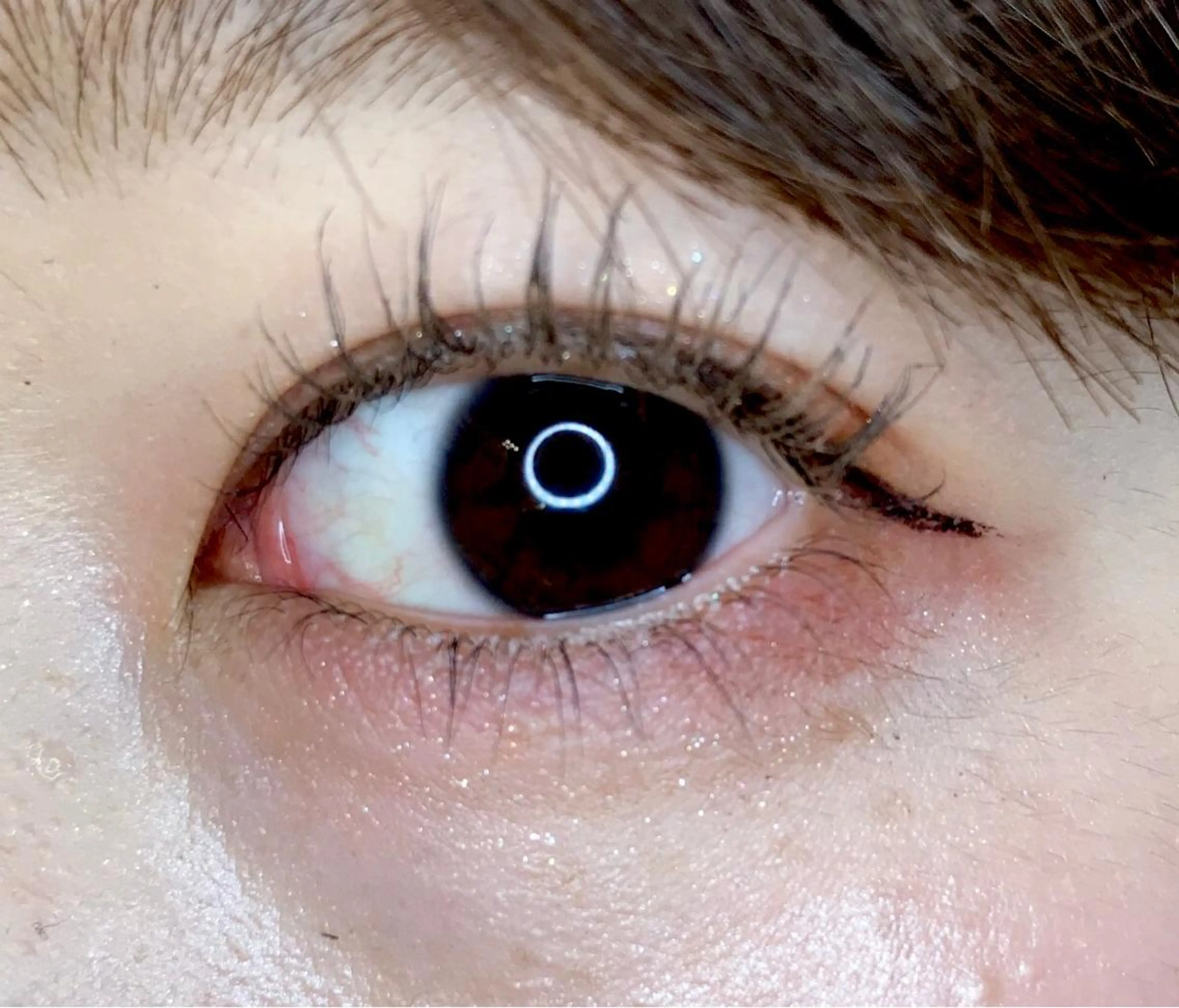 マツエク・マツパ まつげパーマ 下まつげエクステ マツパ 《eyelash ｉｉｔｅ》森のマツエク・マツパデザイン