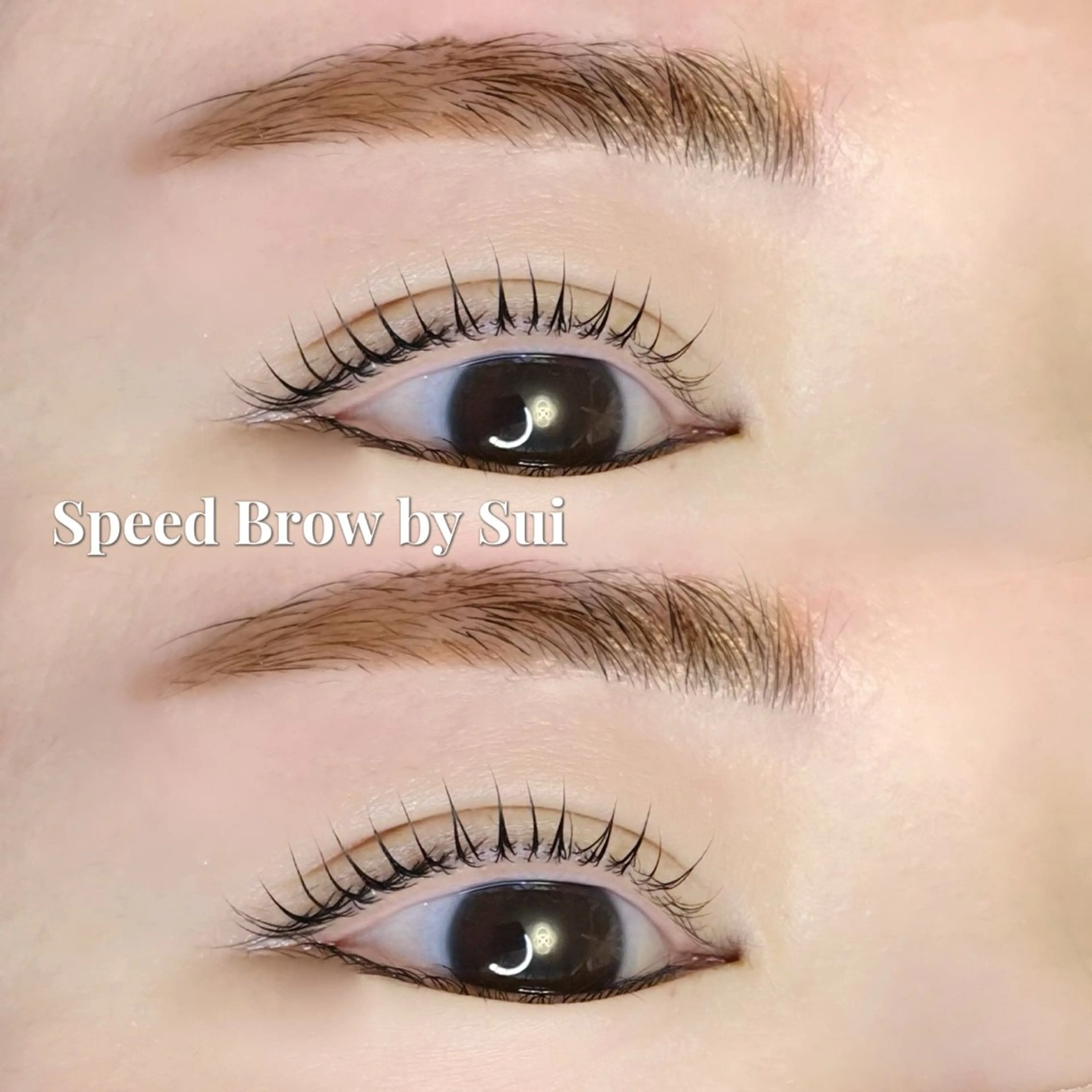 マツエク・マツパ 韓国風マツエク まつげパーマ Sui所属・Speed Brow by Suiの眉毛・アイブロウイメージ