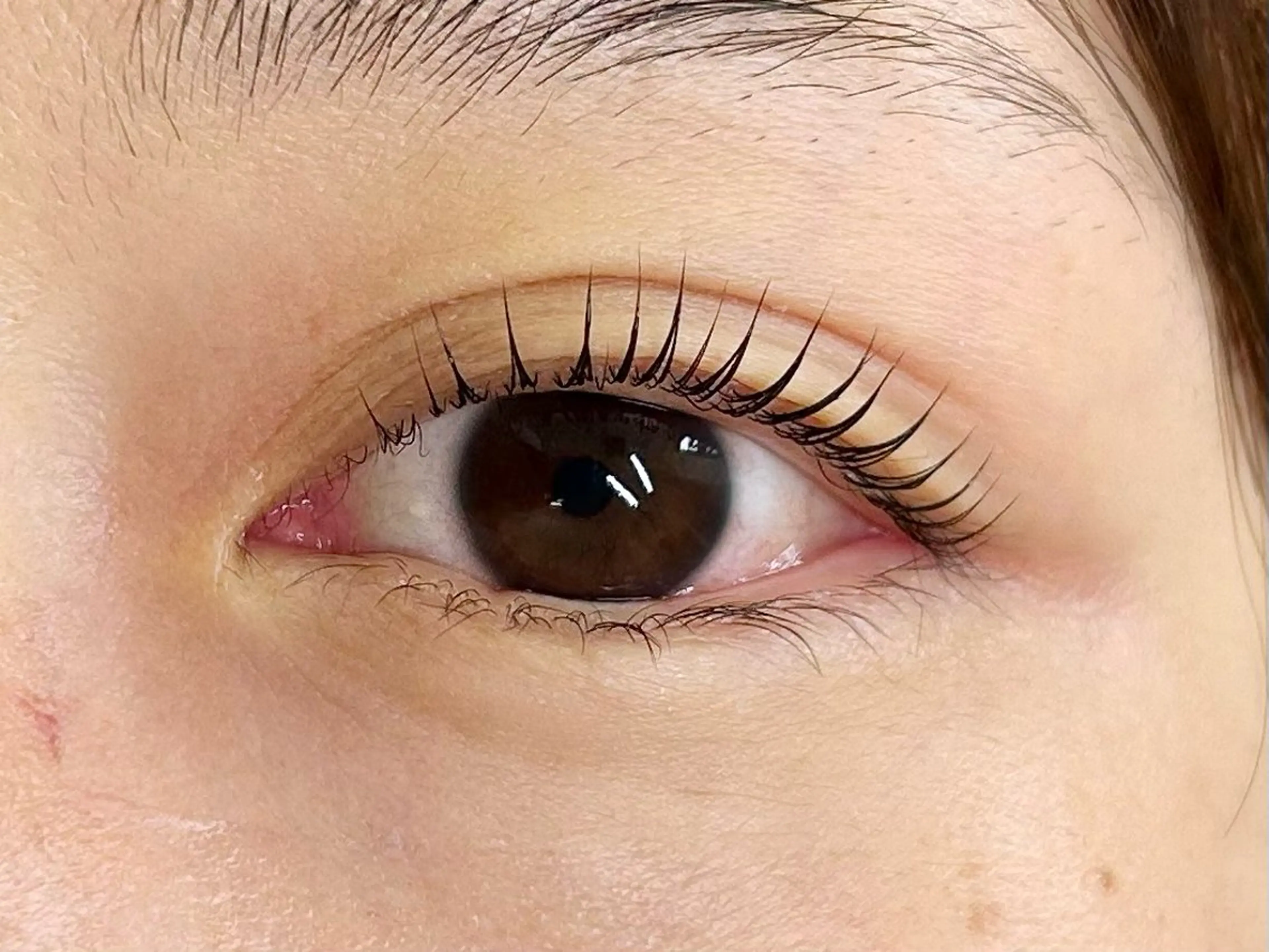 マツエク・マツパ マツパ Miroir EYELASH&BROW所属・Miroir Sunadaのマツエク・マツパデザイン