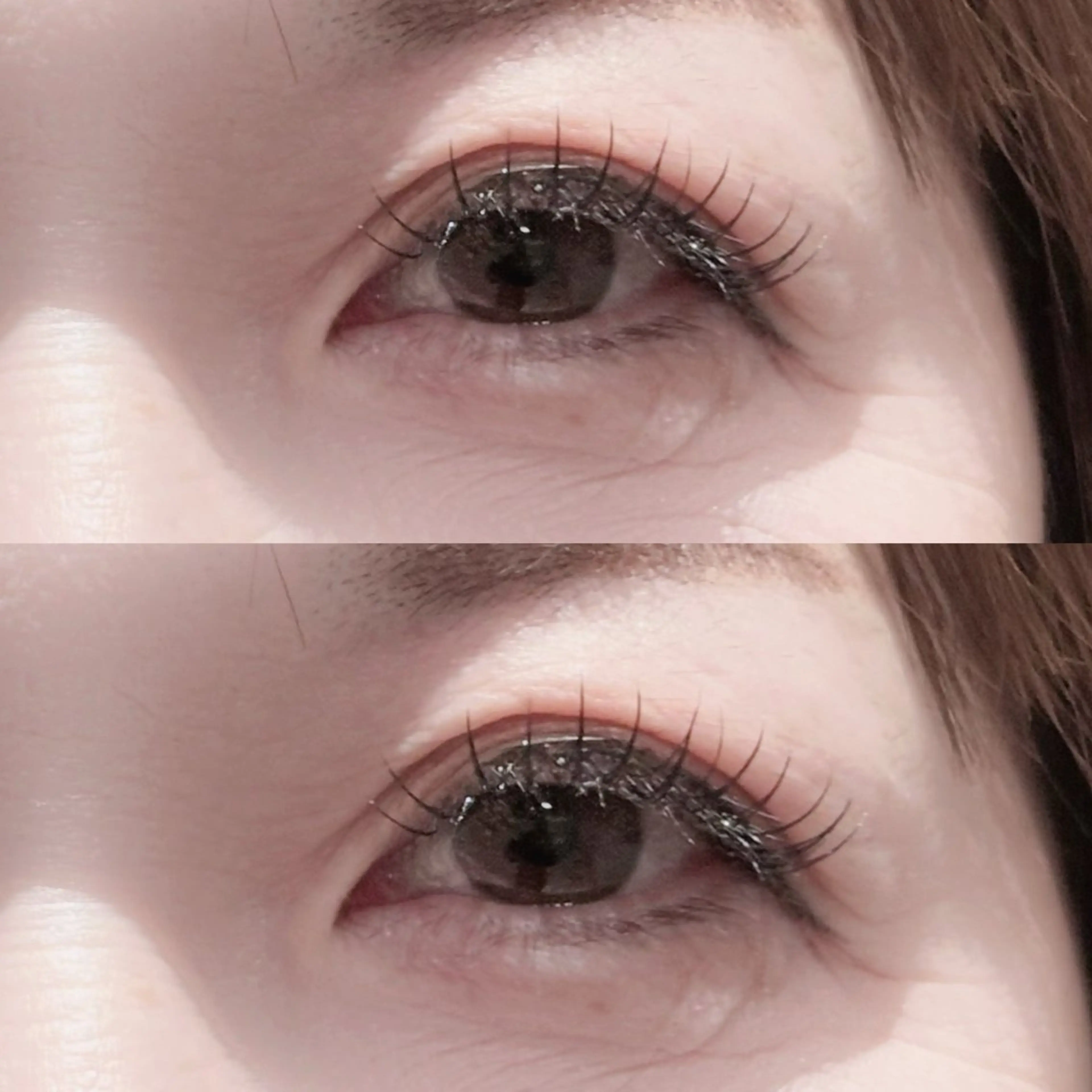 フラットラッシュ120本(オフなし)の写真