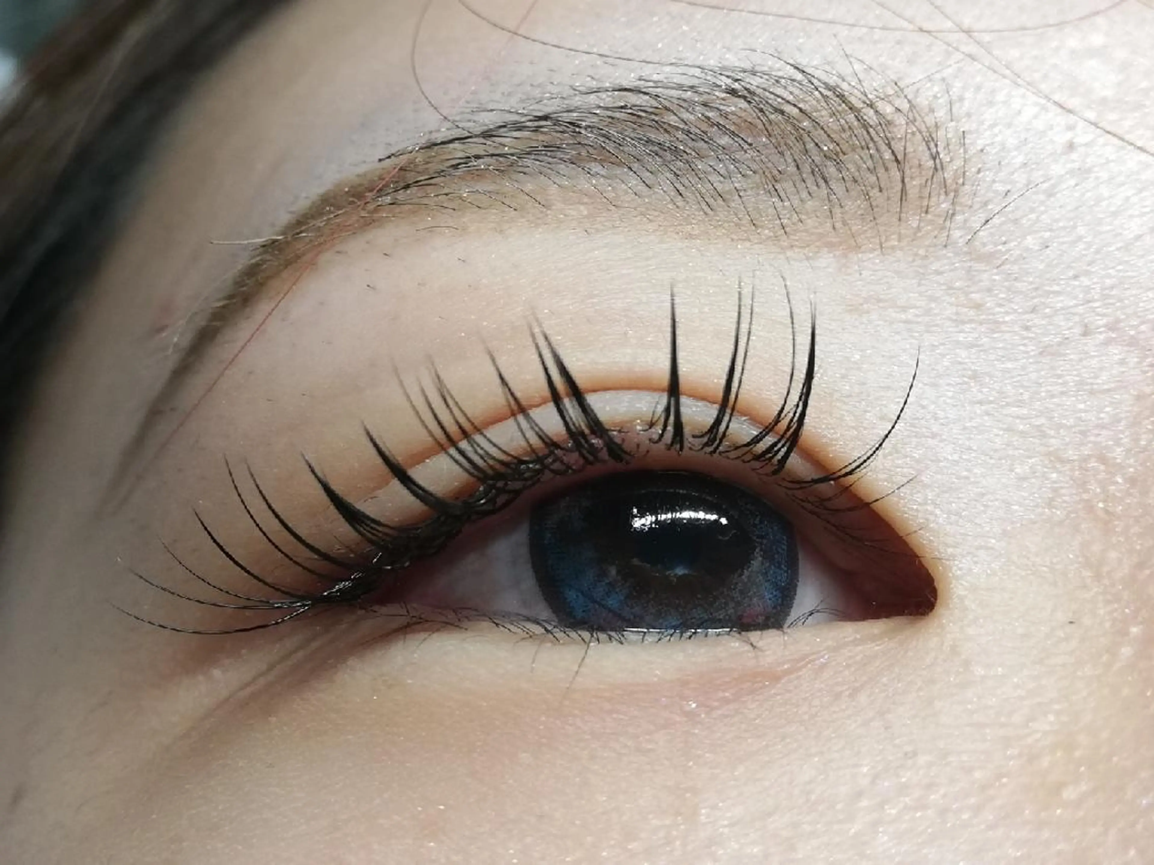 マツエク・マツパ キュート セーブル セクシー angelux 所属・完全個室サロン🌹 angelux🌹のマツエク・マツパデザイン