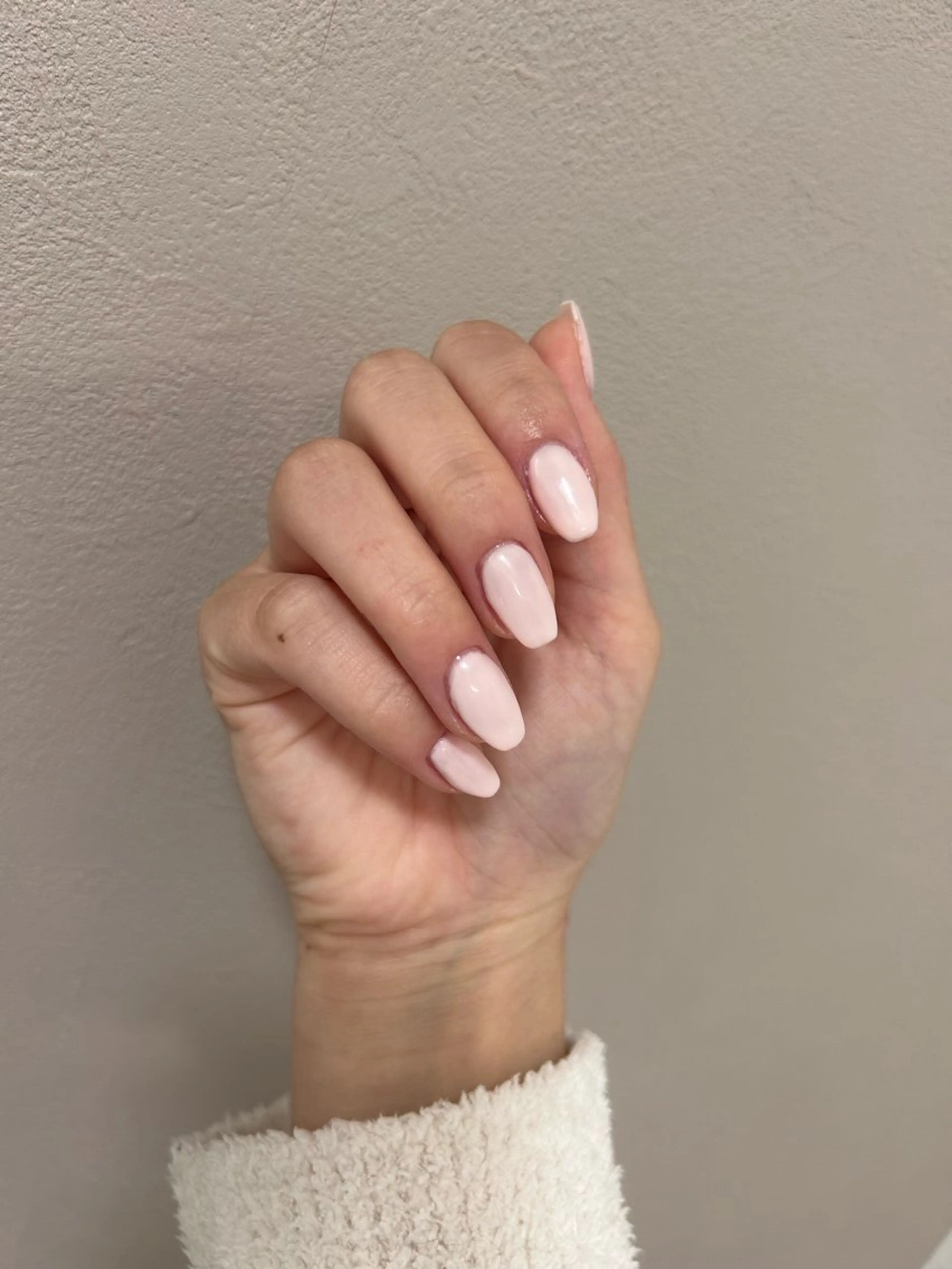 ネイル ワンカラーネイル ネイルチップ その他(ネイル) 【malunail】 8月15日〜店舗移動のネイルデザイン