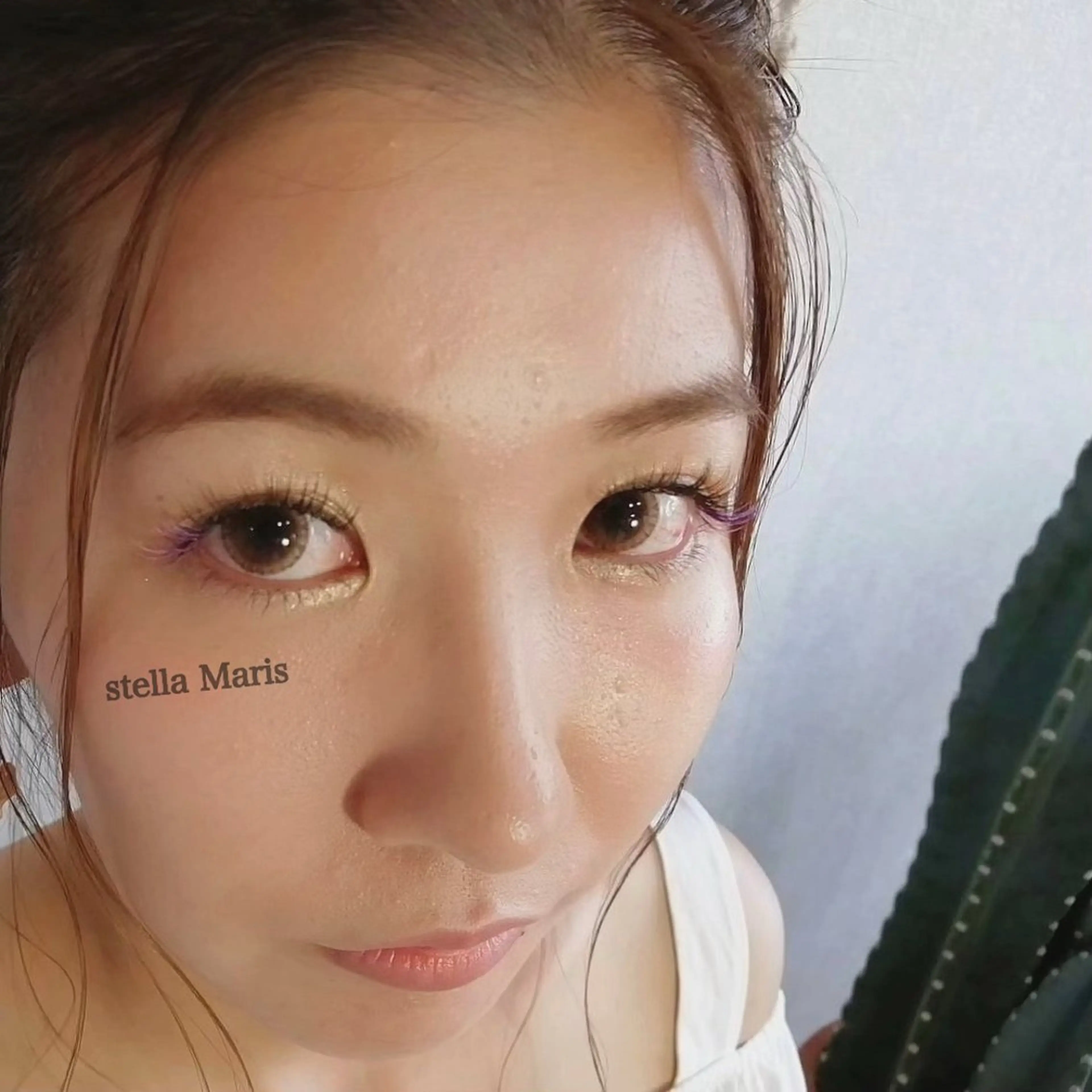 マツエク・マツパ stella Maris所属・stella Marisの眉毛・アイブロウイメージ