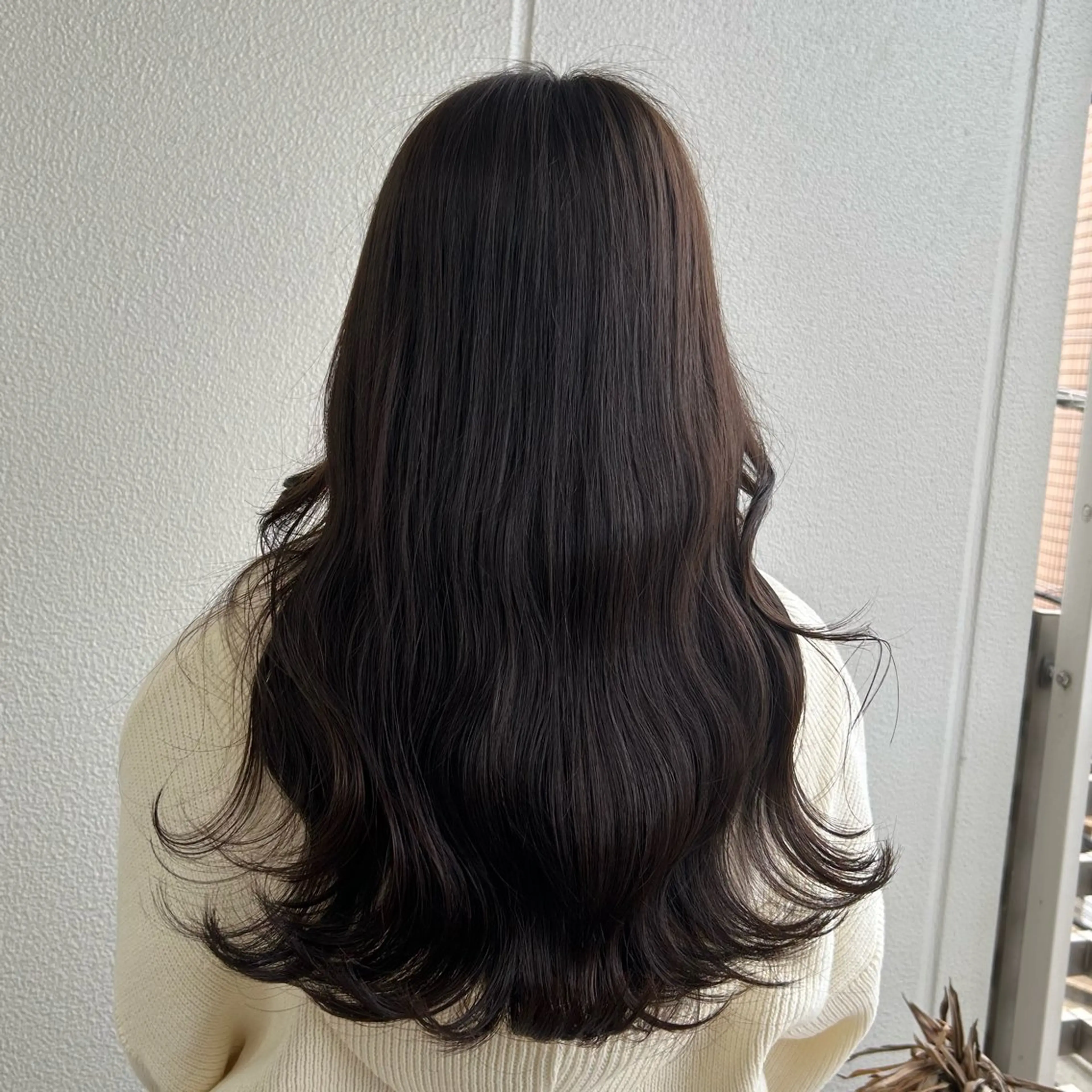 カラー ︎︎🌟韓国艶カラー ︎🌟璃奈 (リナ)のヘアスタイル