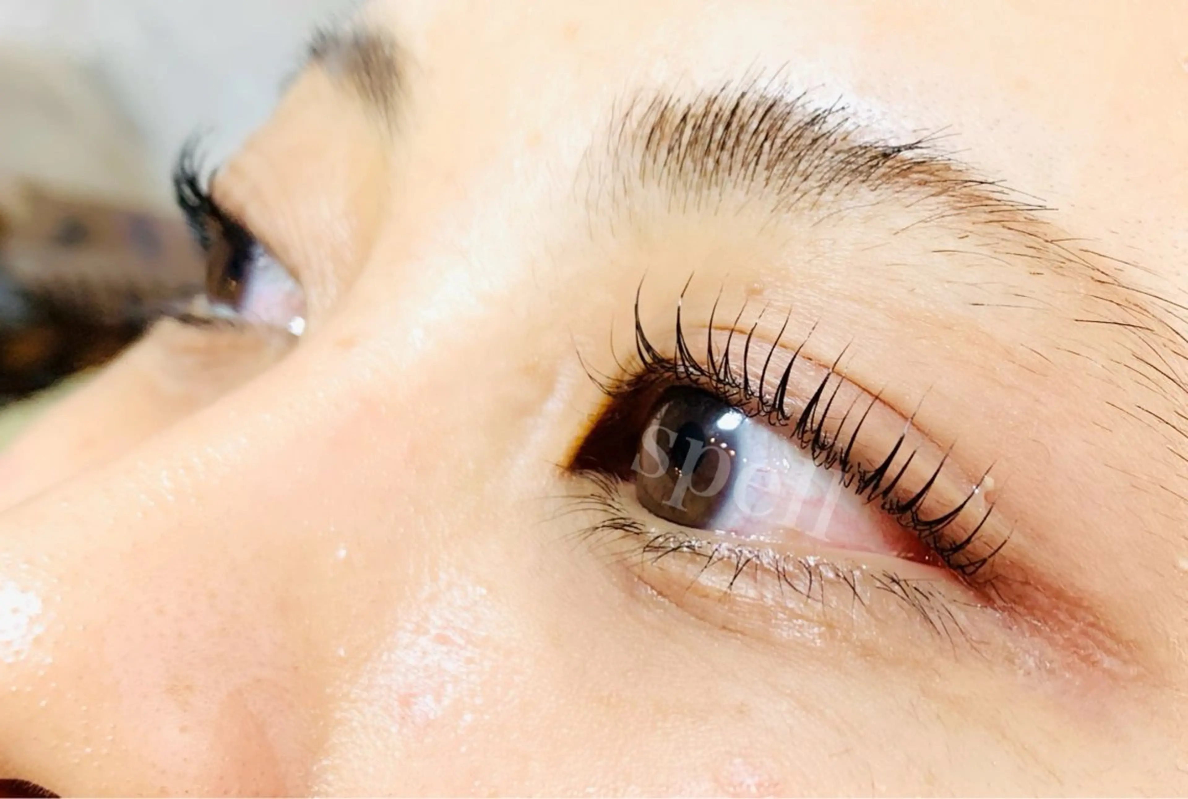 マツエク・マツパ マツパ spell_eyelash所属・spell eyelashのマツエク・マツパデザイン