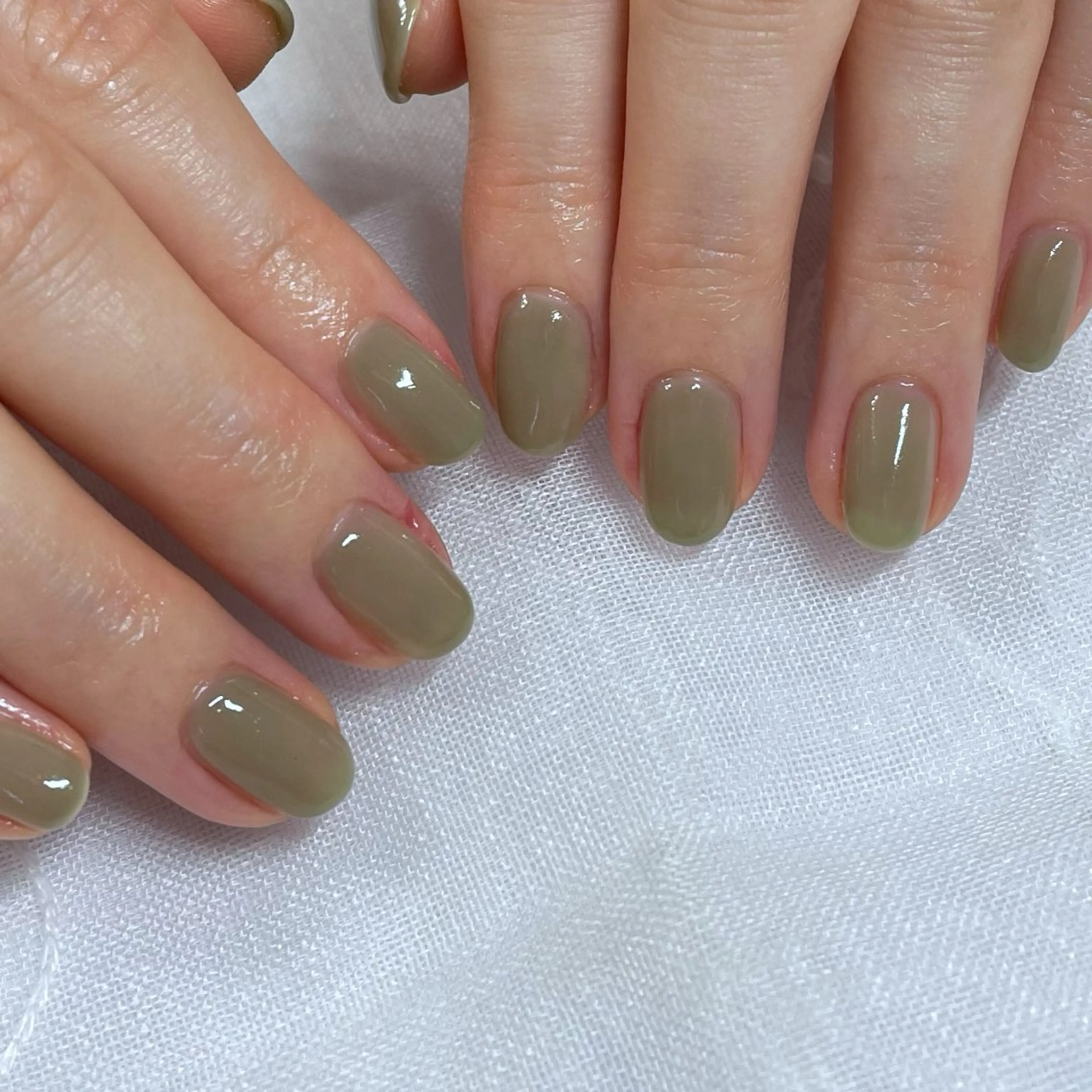 ワンカラー【オフ込】/2色までお選びいただけますの写真