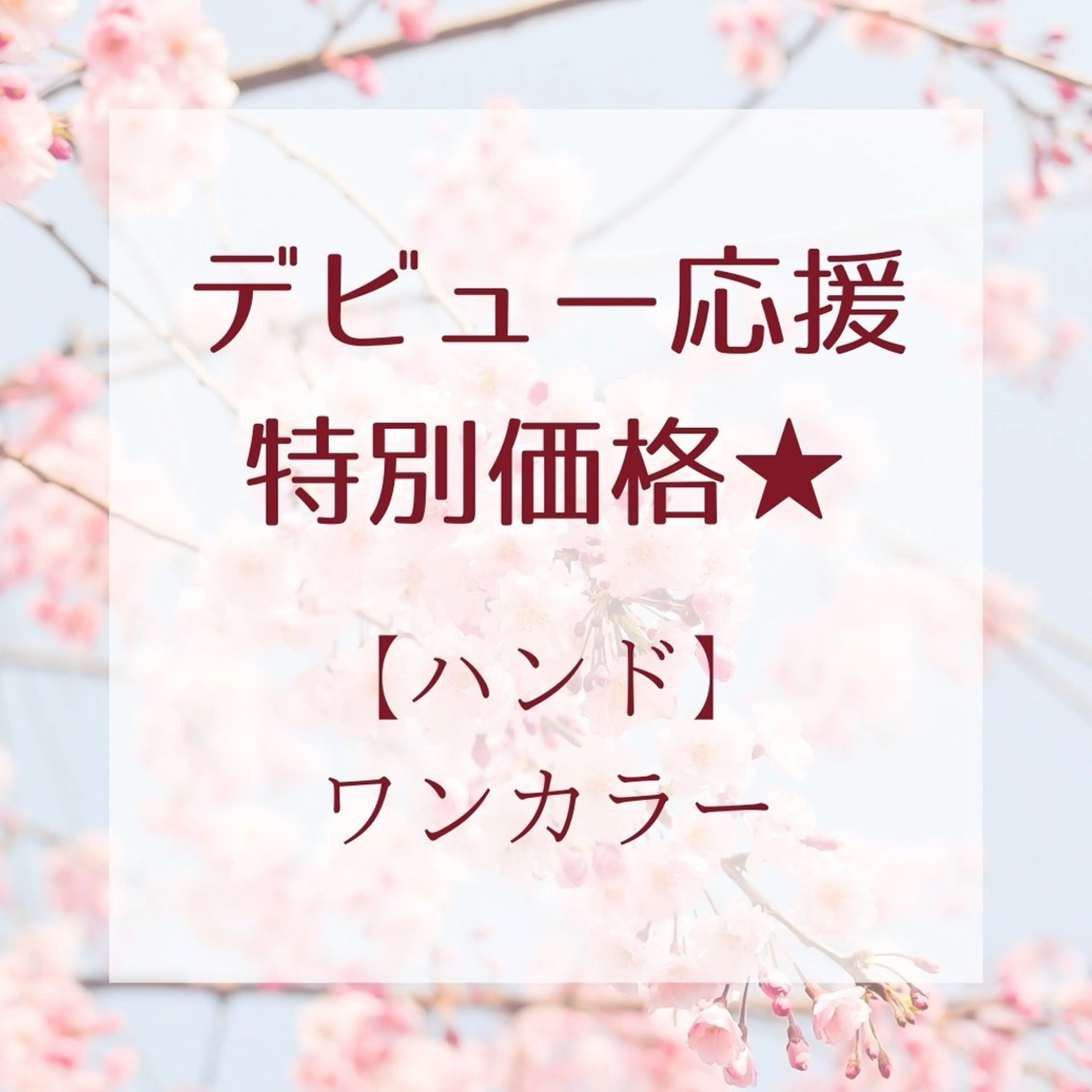ワンカラー(オフ無)の写真