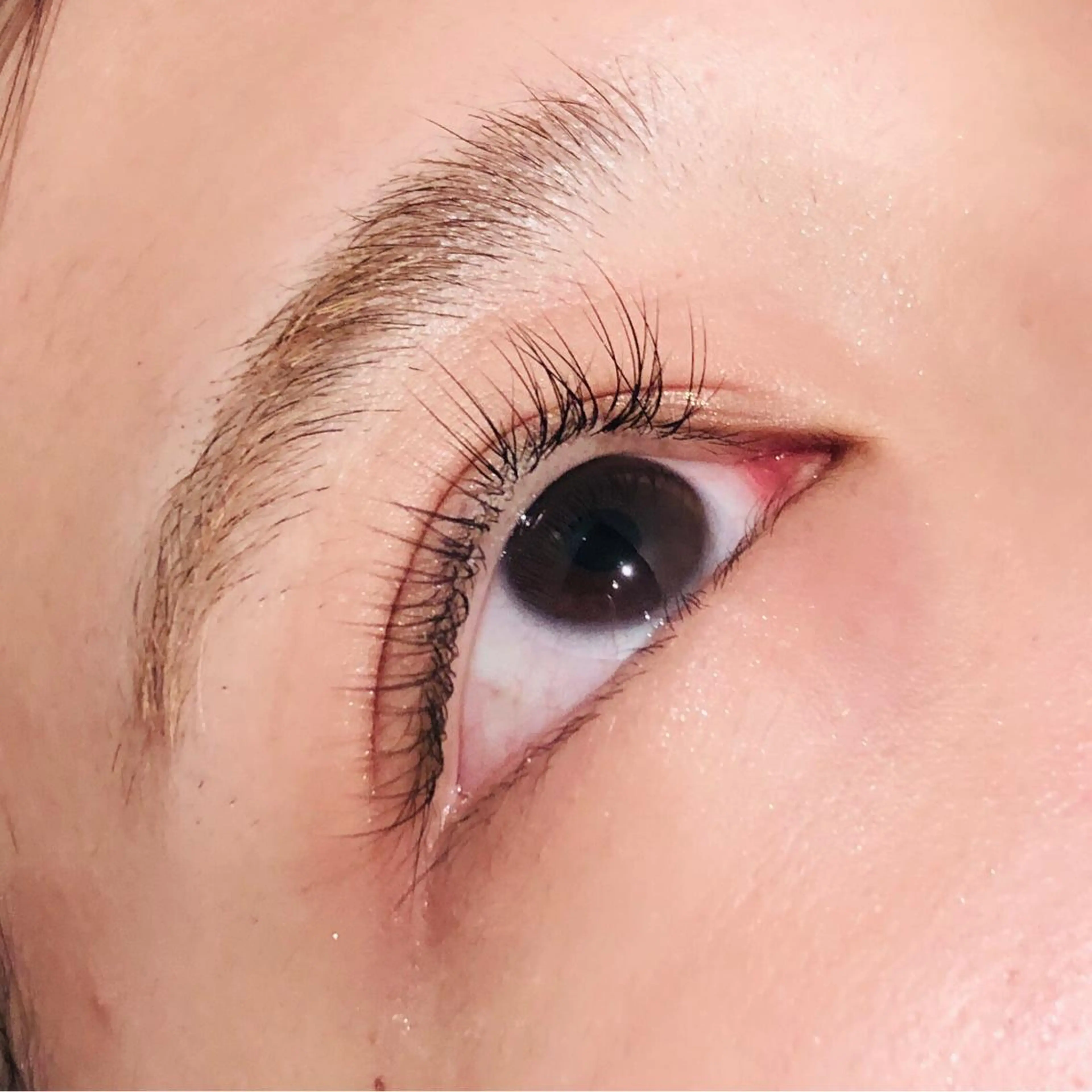 マツエク・マツパ Bカール Noah's　Ark所属・透明感カラー🫧ヘア セット🫧松本菜月の眉毛・アイブロウイメージ