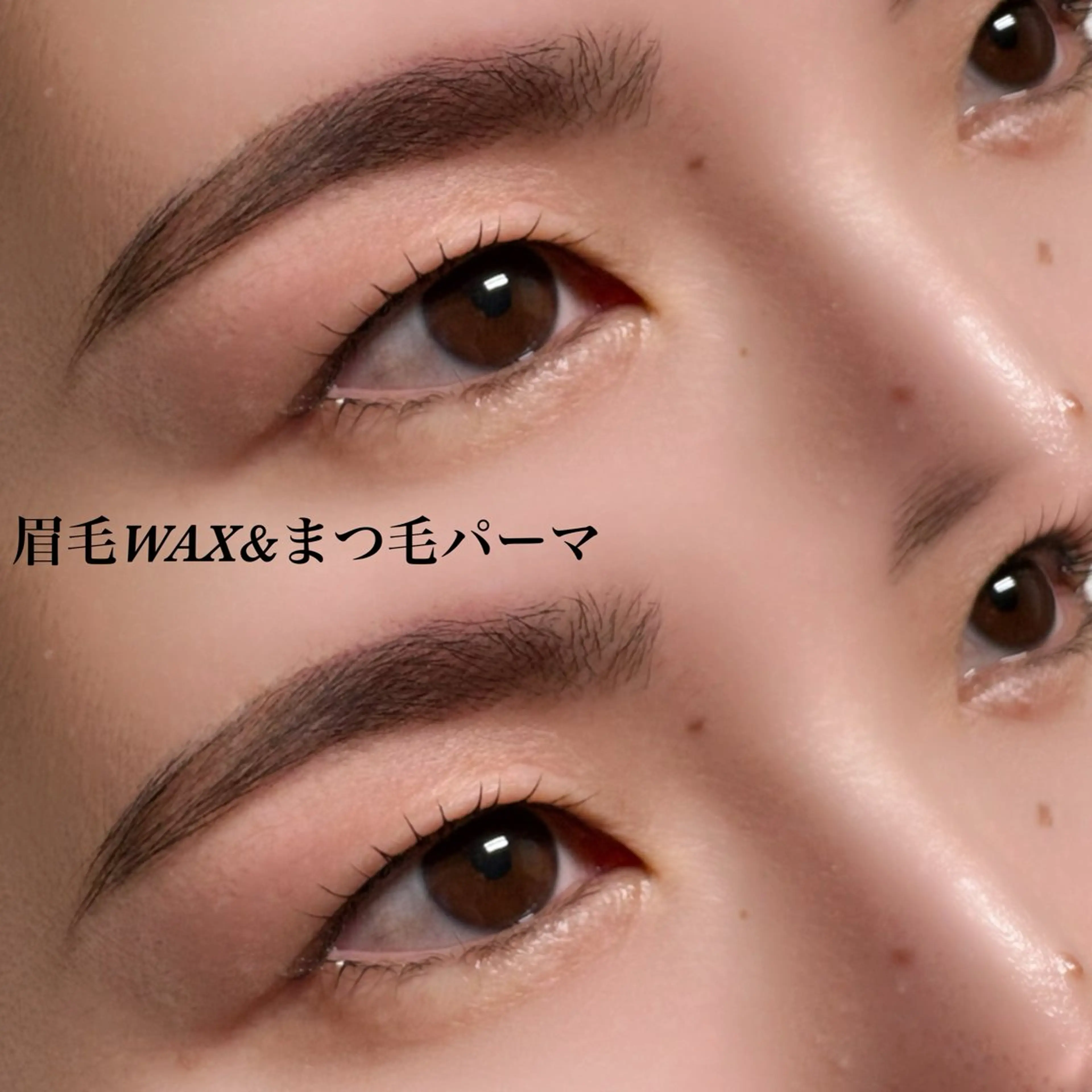 ラッシュリフト+眉毛メニュー(waxまたはブロウリフト)の写真