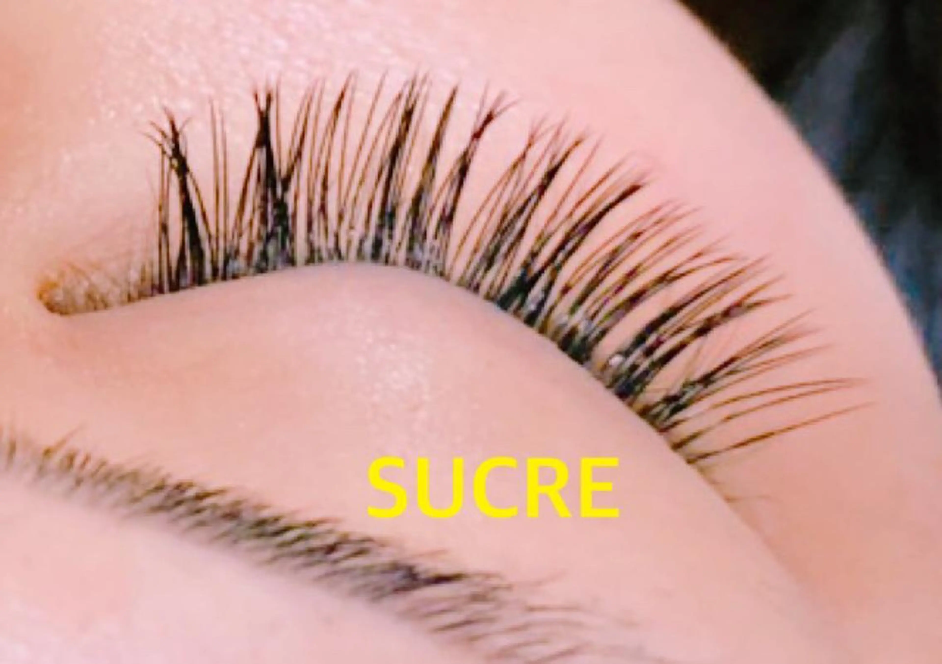 マツエク・マツパ EyelashSalon Liz.&所属・Liz.& 平田のマツエク・マツパデザイン