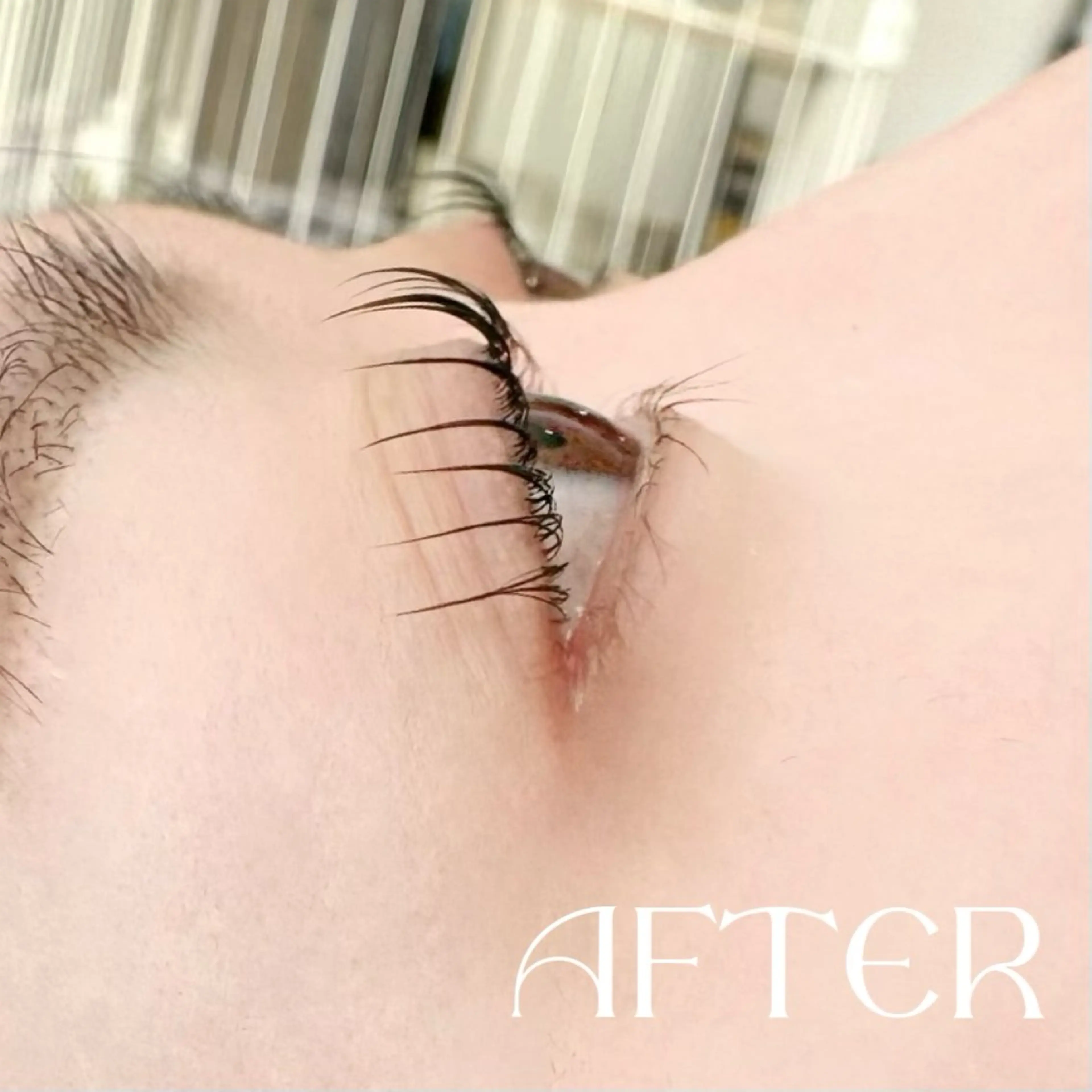 マツエク・マツパ eyelash Rebell Bee所属・目元撮影モデル 募集中のマツエク・マツパデザイン