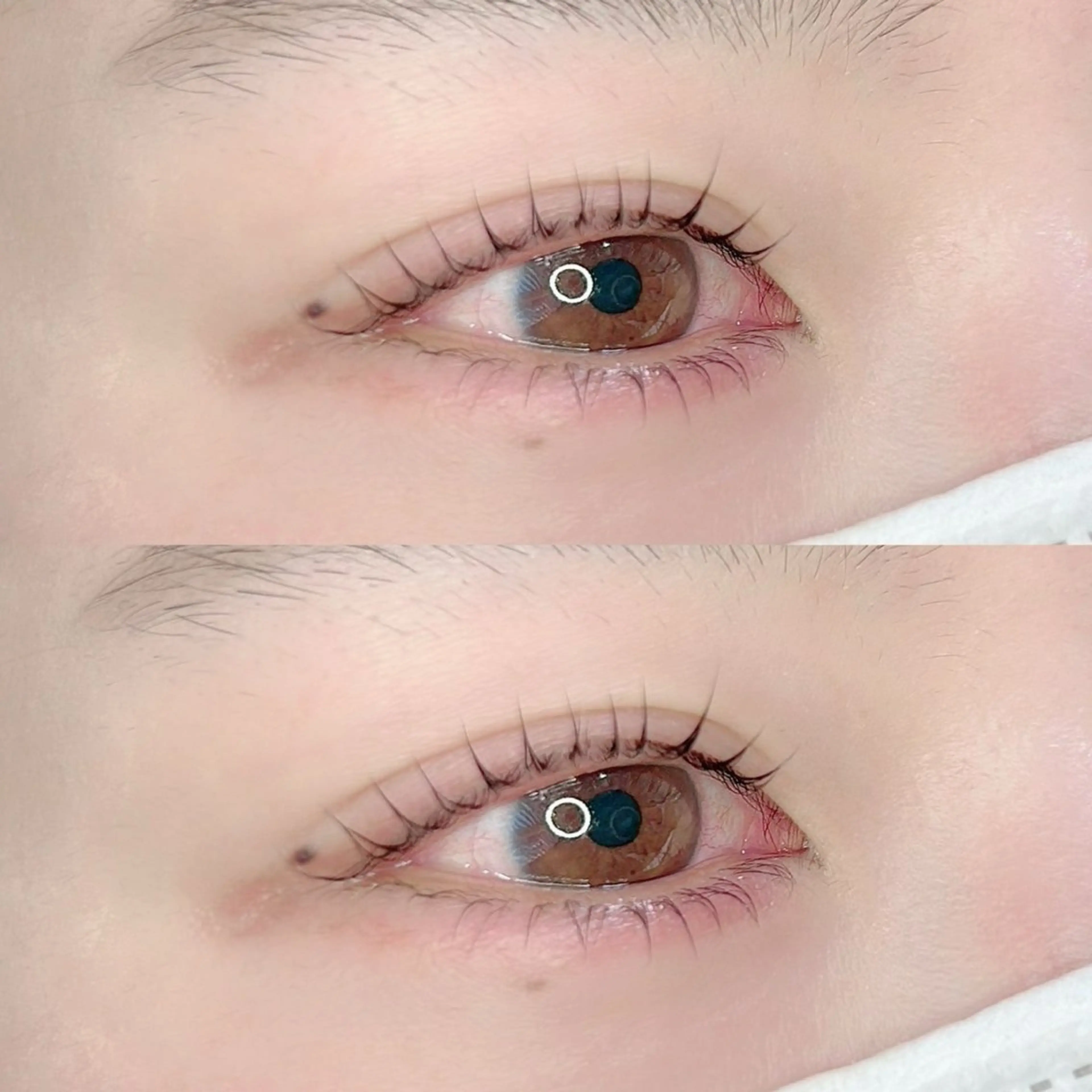 マツエク・マツパ マツパ SUGAR 綱崎愛音のマツエク・マツパデザイン