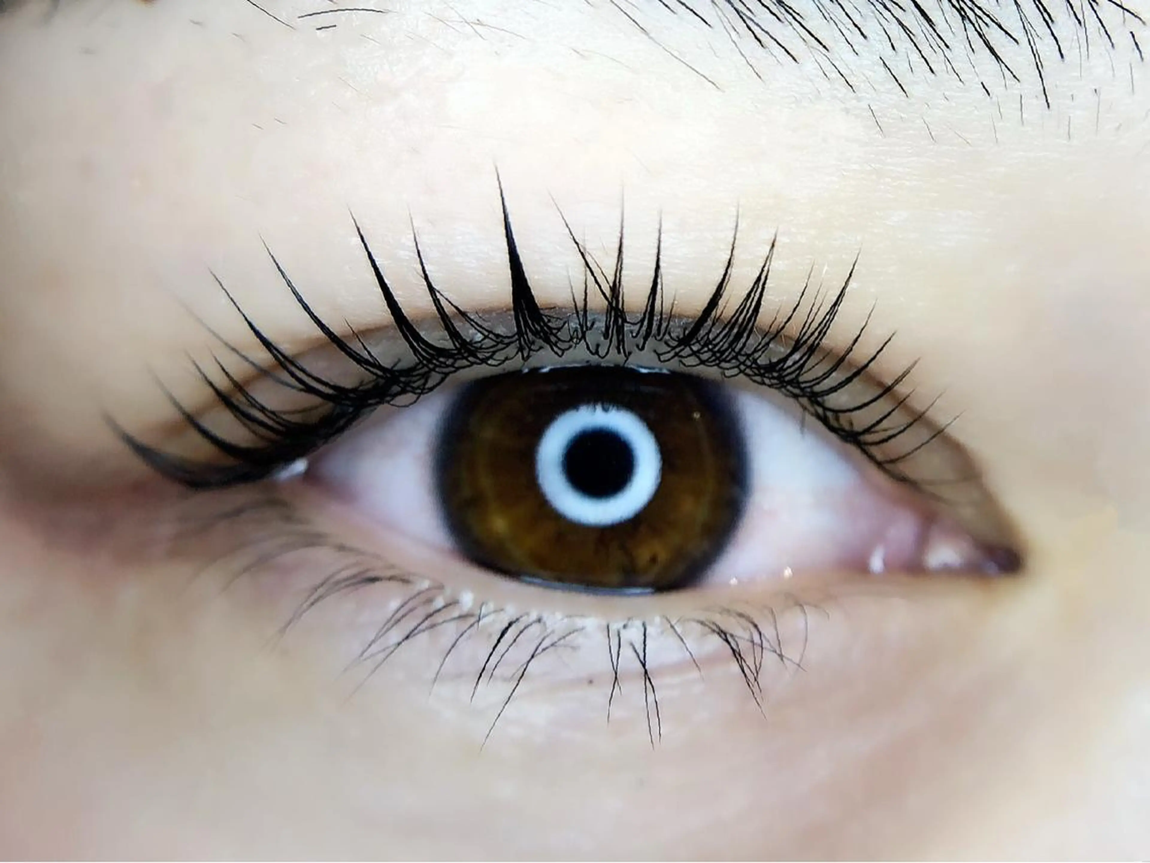 マツエク・マツパ Irima静岡駅前店 松浦のマツエク・マツパデザイン