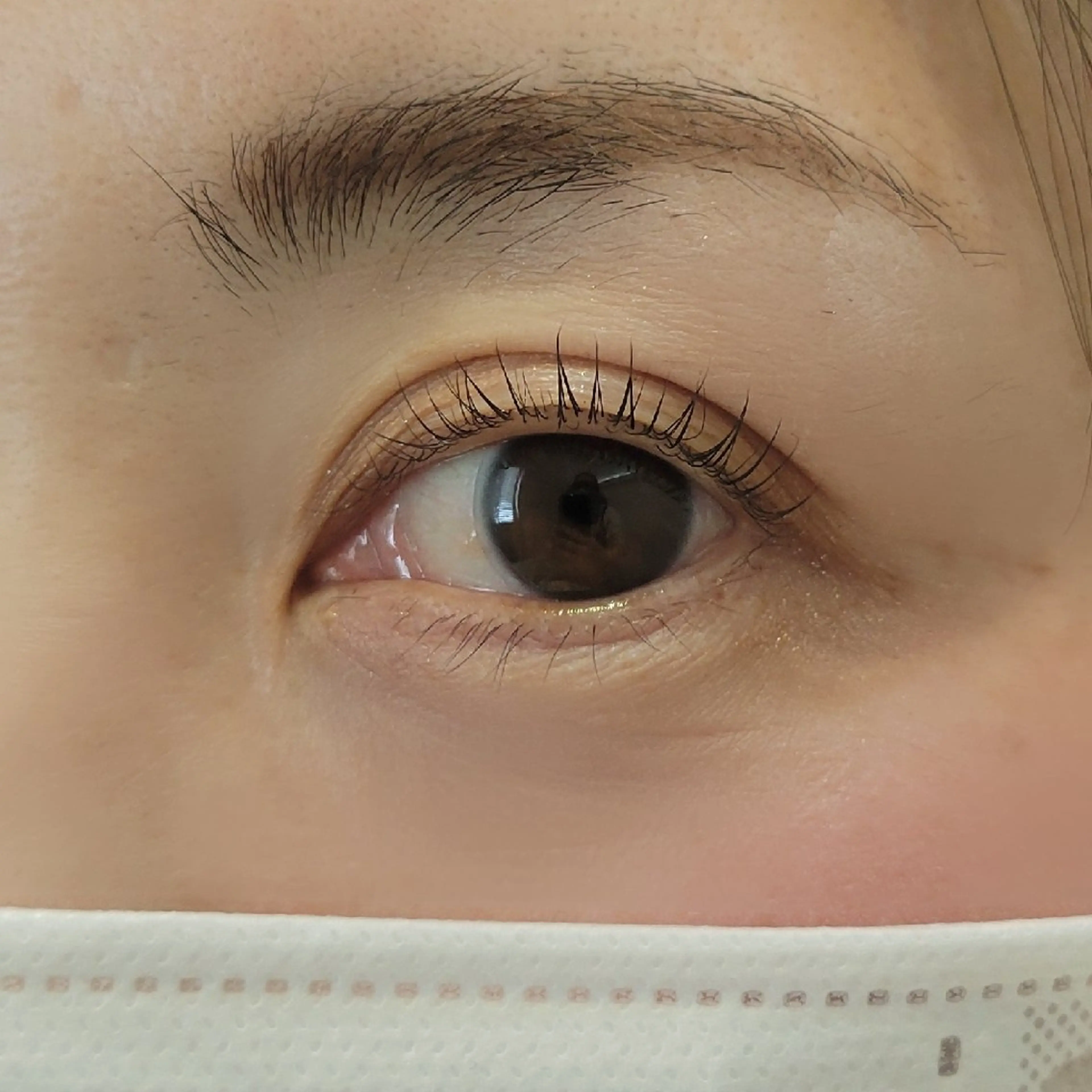 マツエク・マツパ Kikuchi Masamiの眉毛・アイブロウイメージ