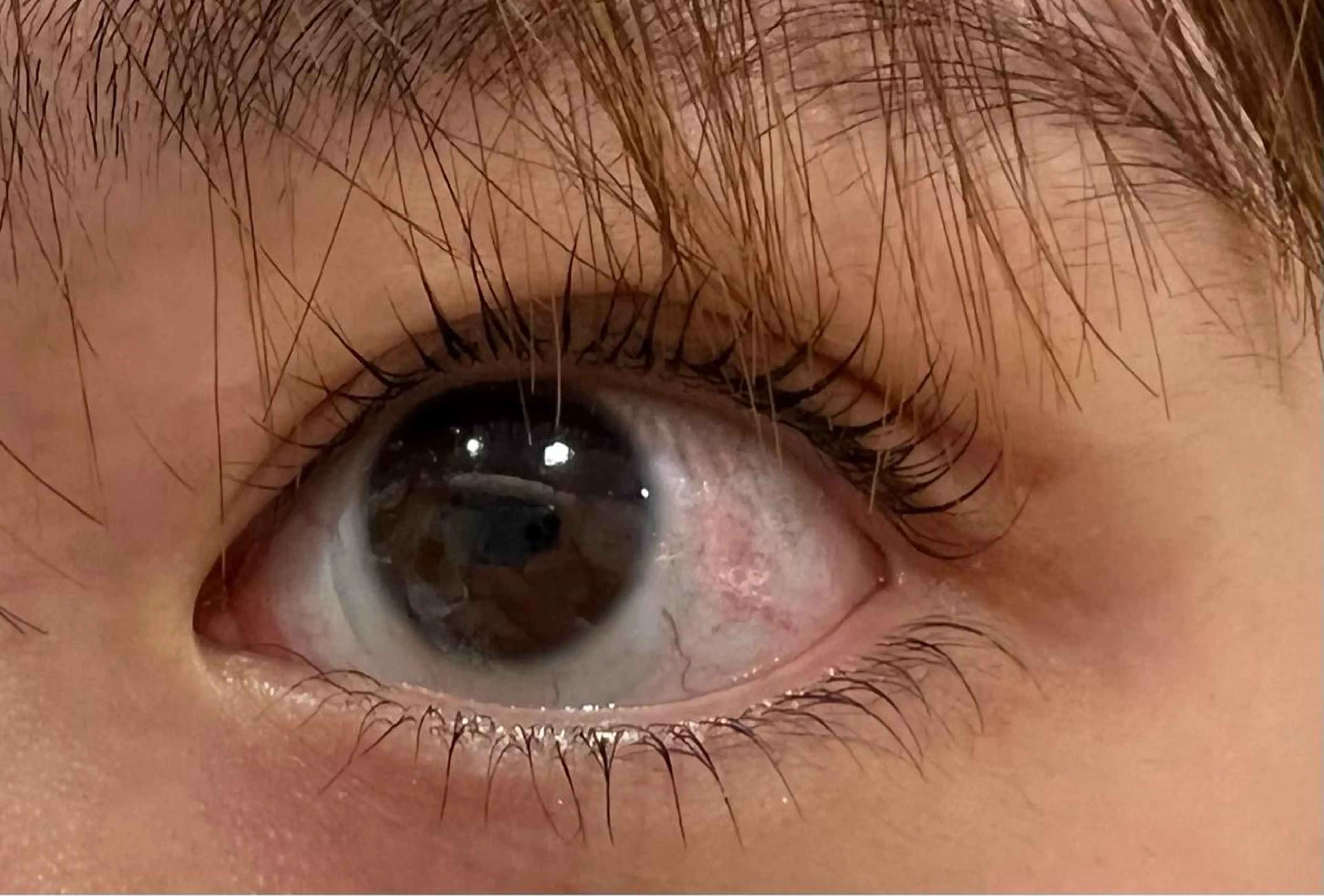 マツエク・マツパ 久保田 ひかりのマツエク・マツパデザイン