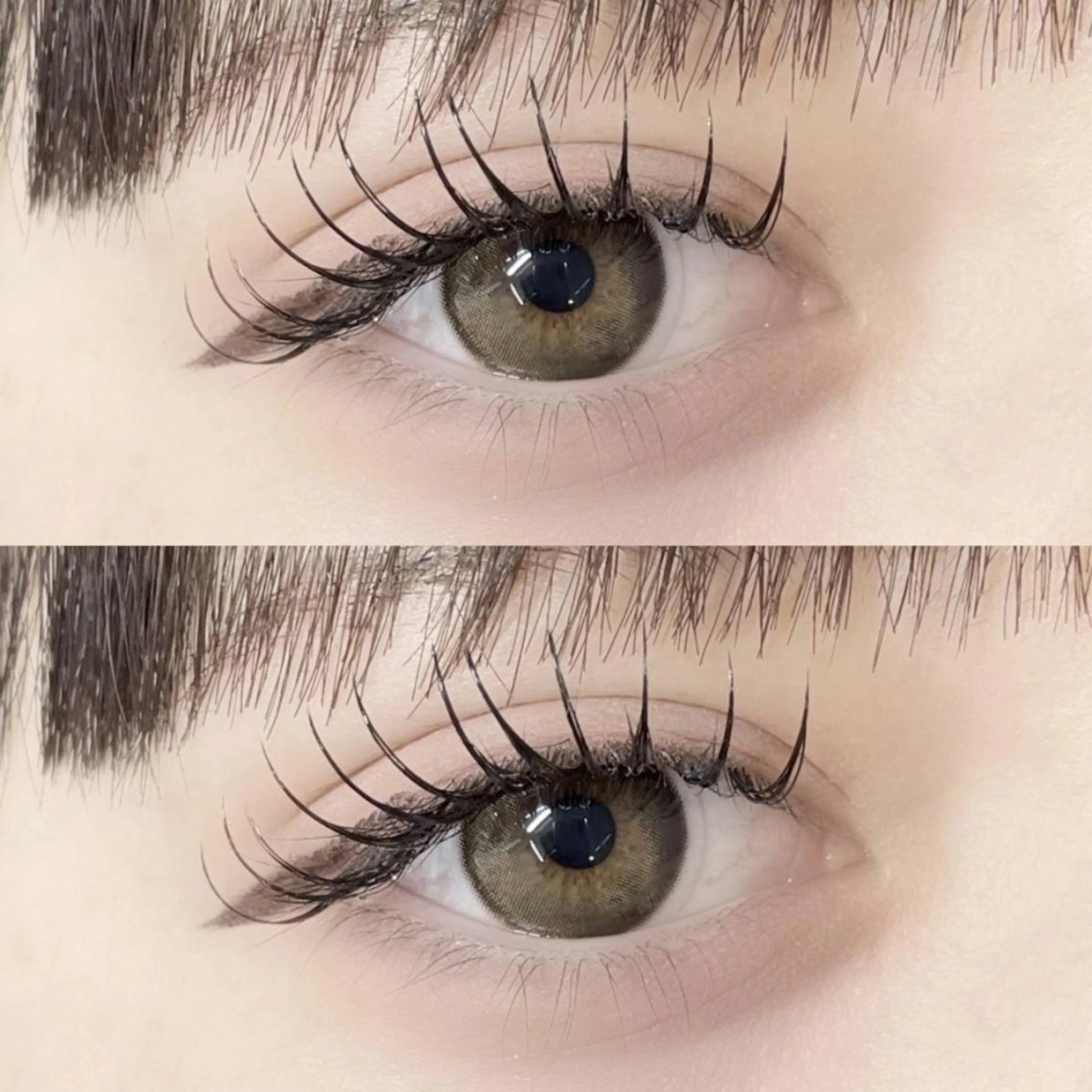 韓国風束感ダブルフラット120本の写真