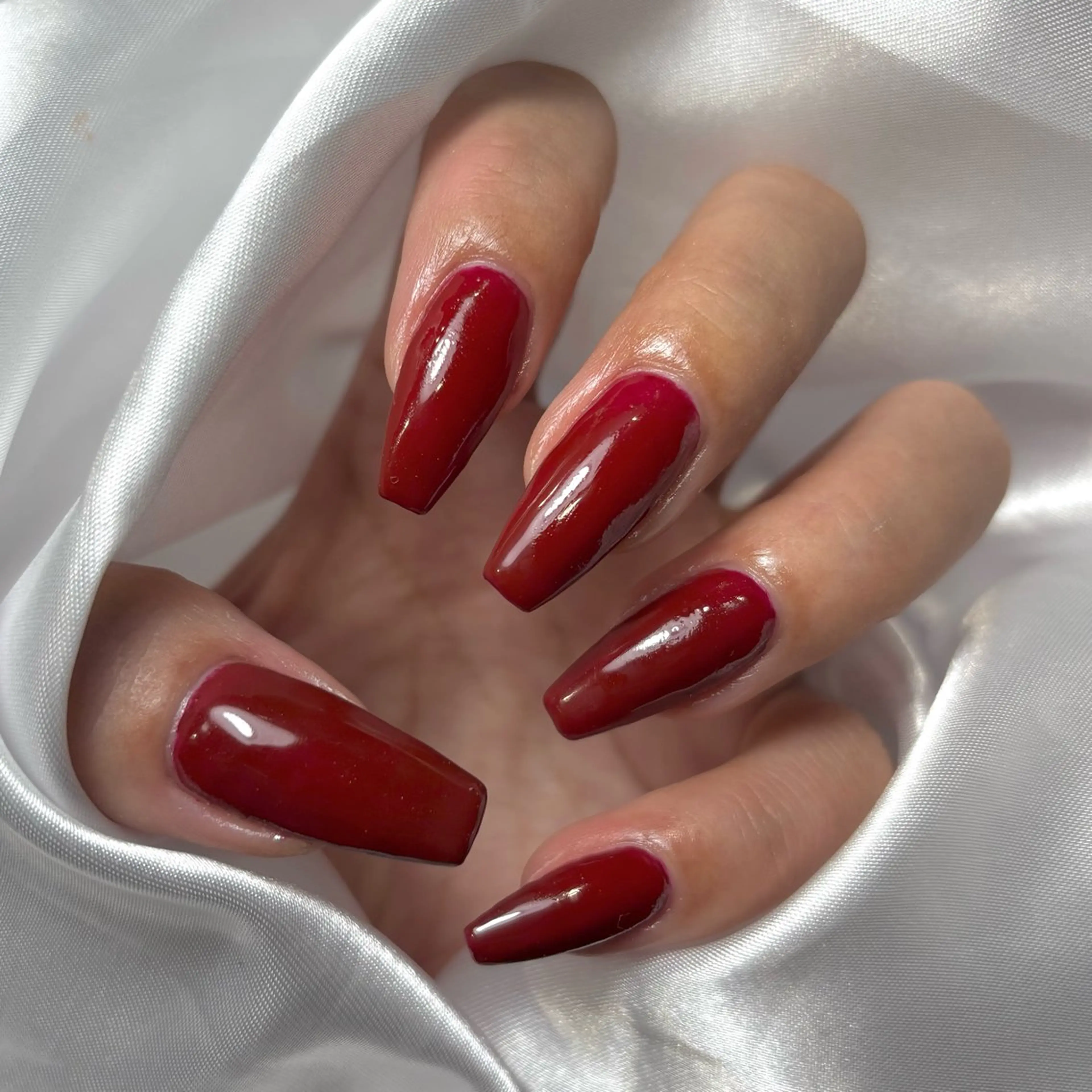 ワンカラーの写真