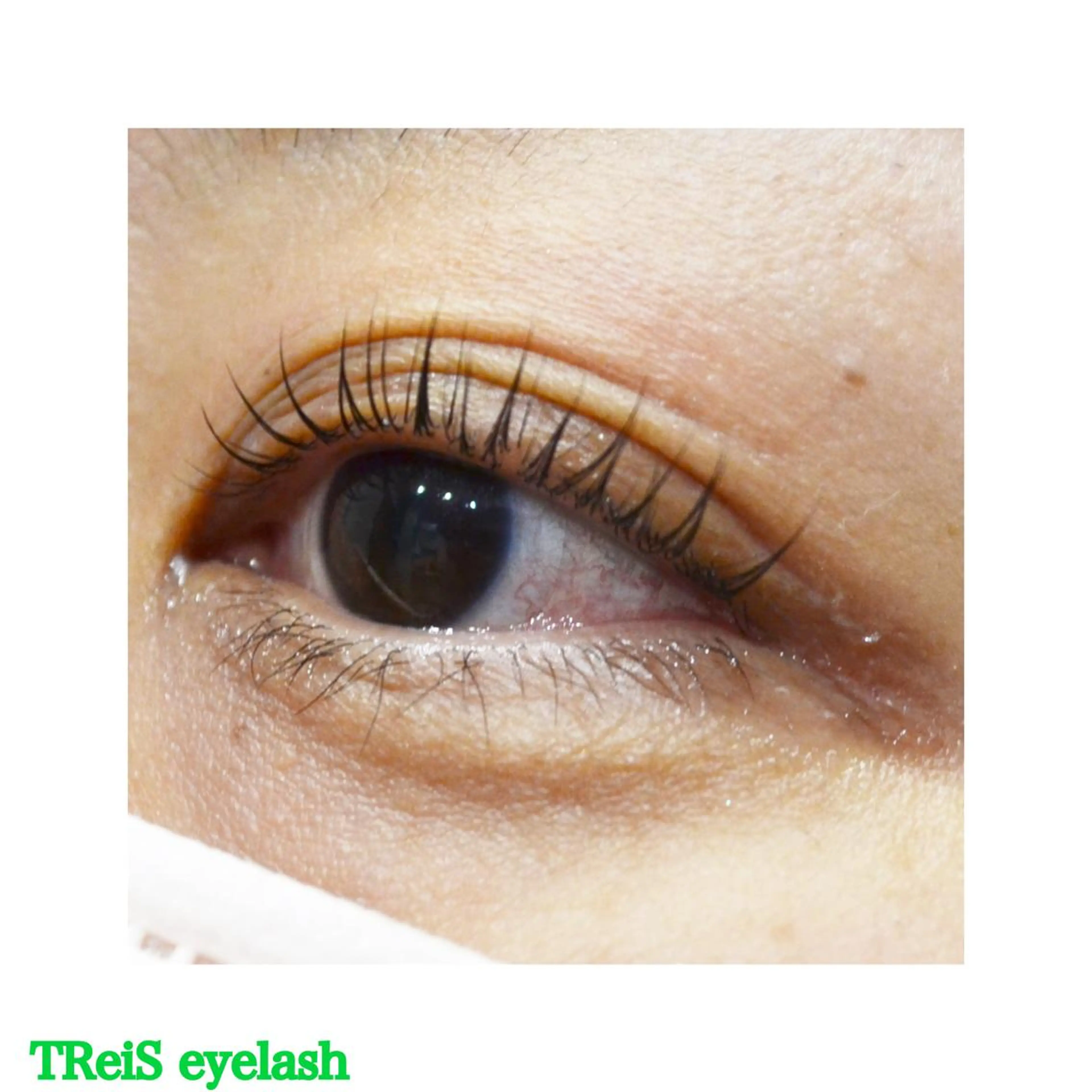 マツエク・マツパ TReiS所属・TReiS eyelashのマツエク・マツパデザイン