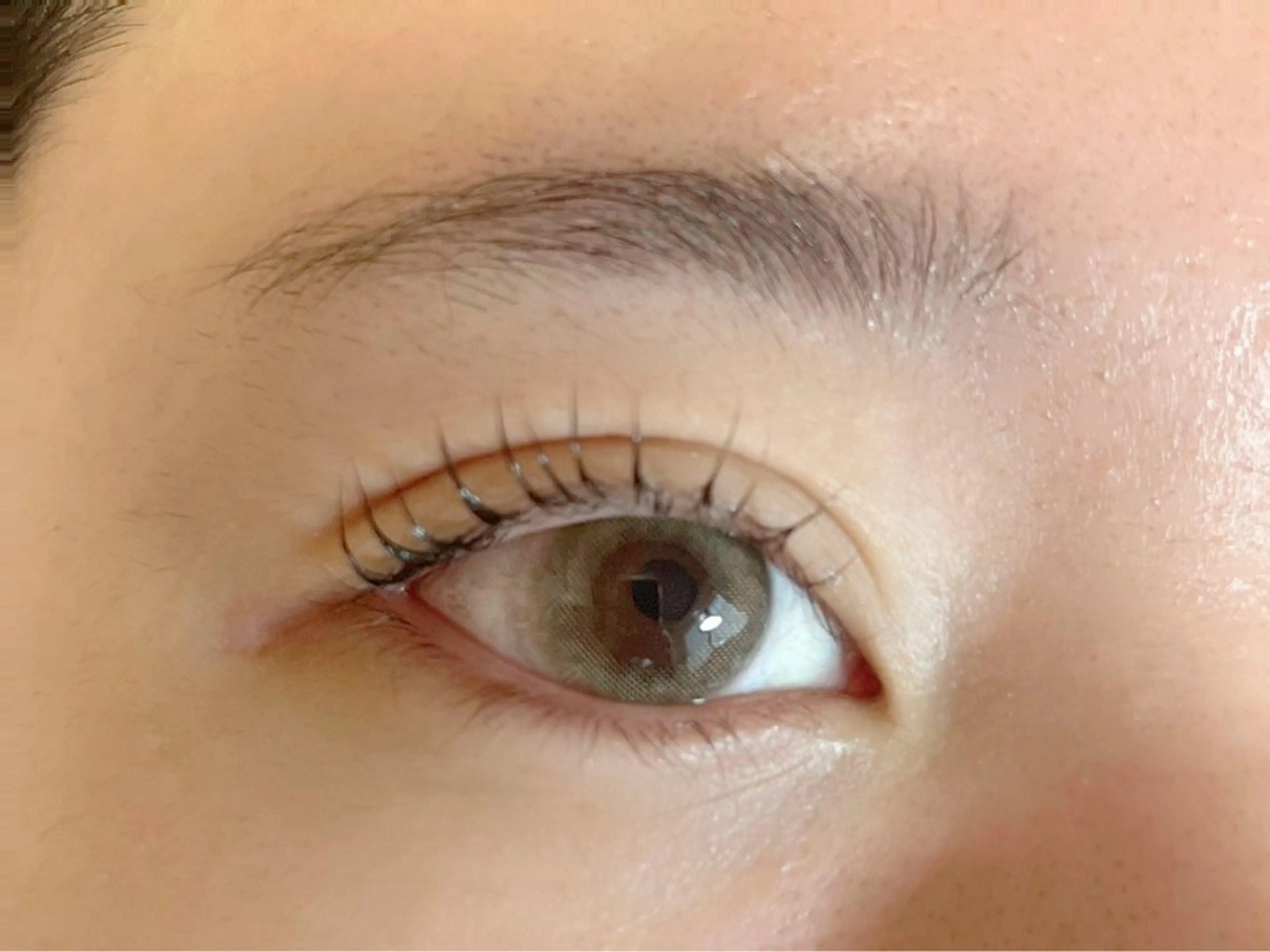 🧸期間限定🧸☆まつげパーマ下のみの写真