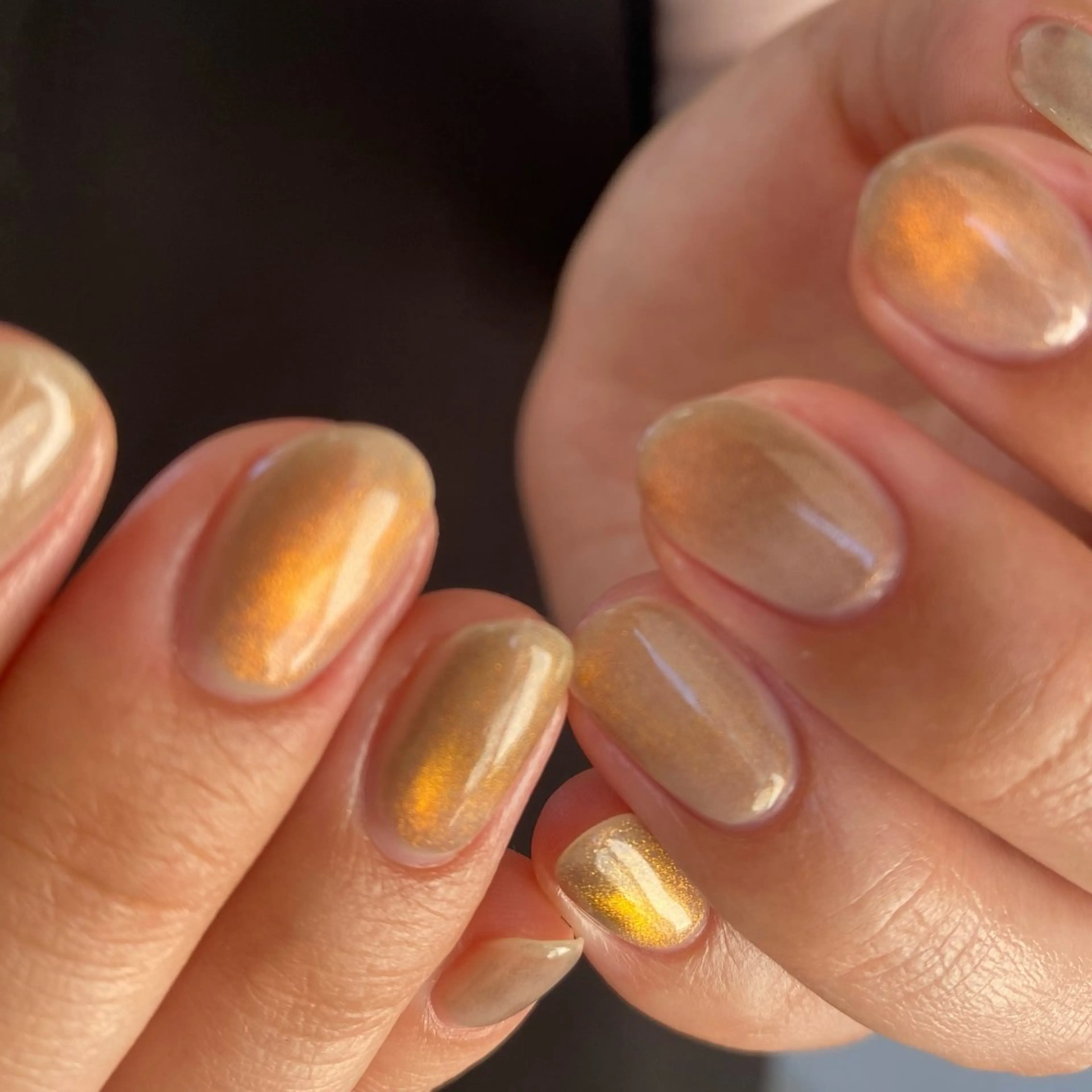 ネイル マグネットネイル nail Eto./ 博多ニュアンスネイルのネイルデザイン