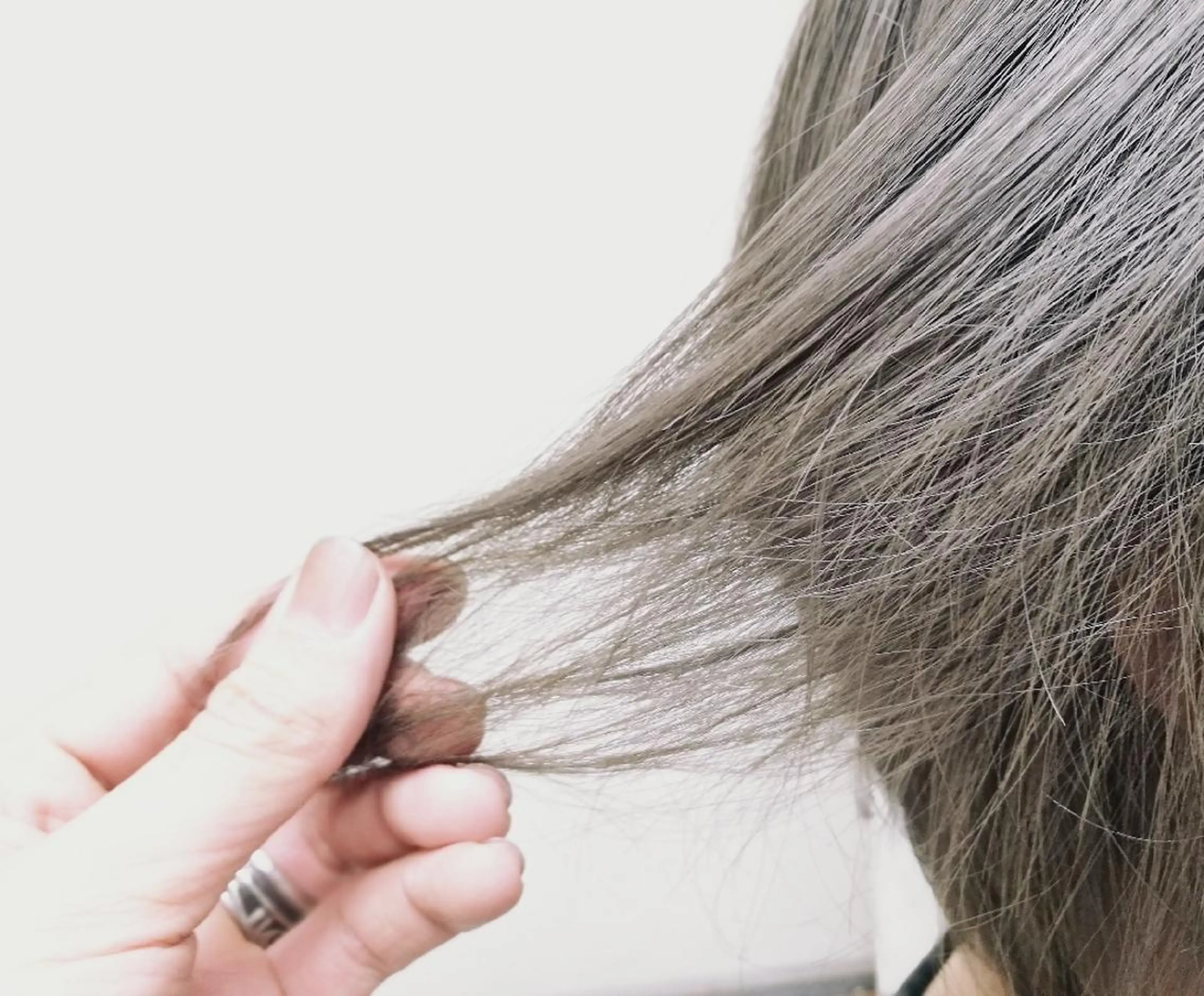 カラー ブリーチ グレージュ N°emirai溝口 MG 🌈梶谷龍吾のヘアスタイル