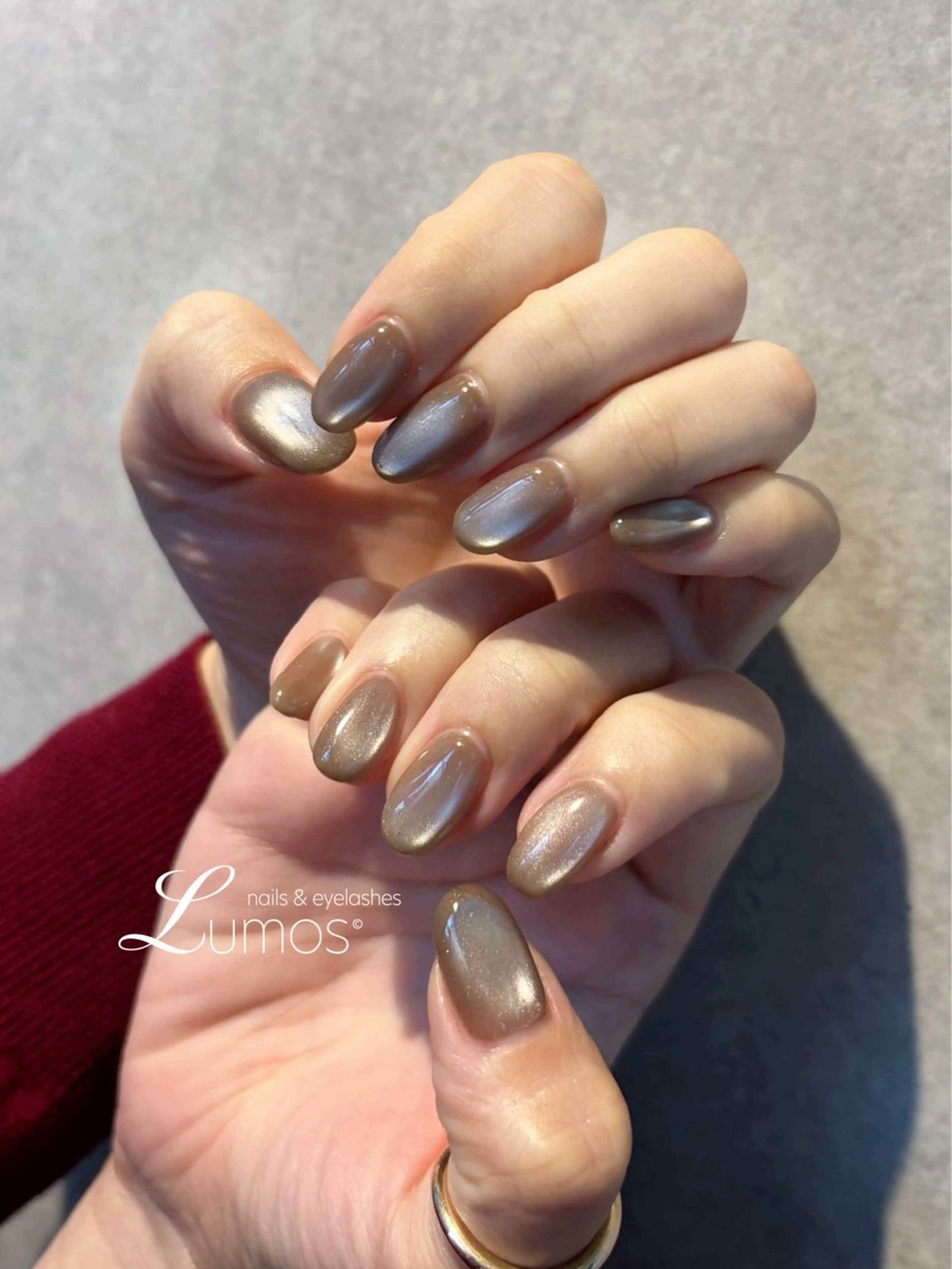 ネイル ブラウン マグネットネイル シルバー Lumos  nails&eyelashes 桜川所属・Lumos Rikaのネイルデザイン