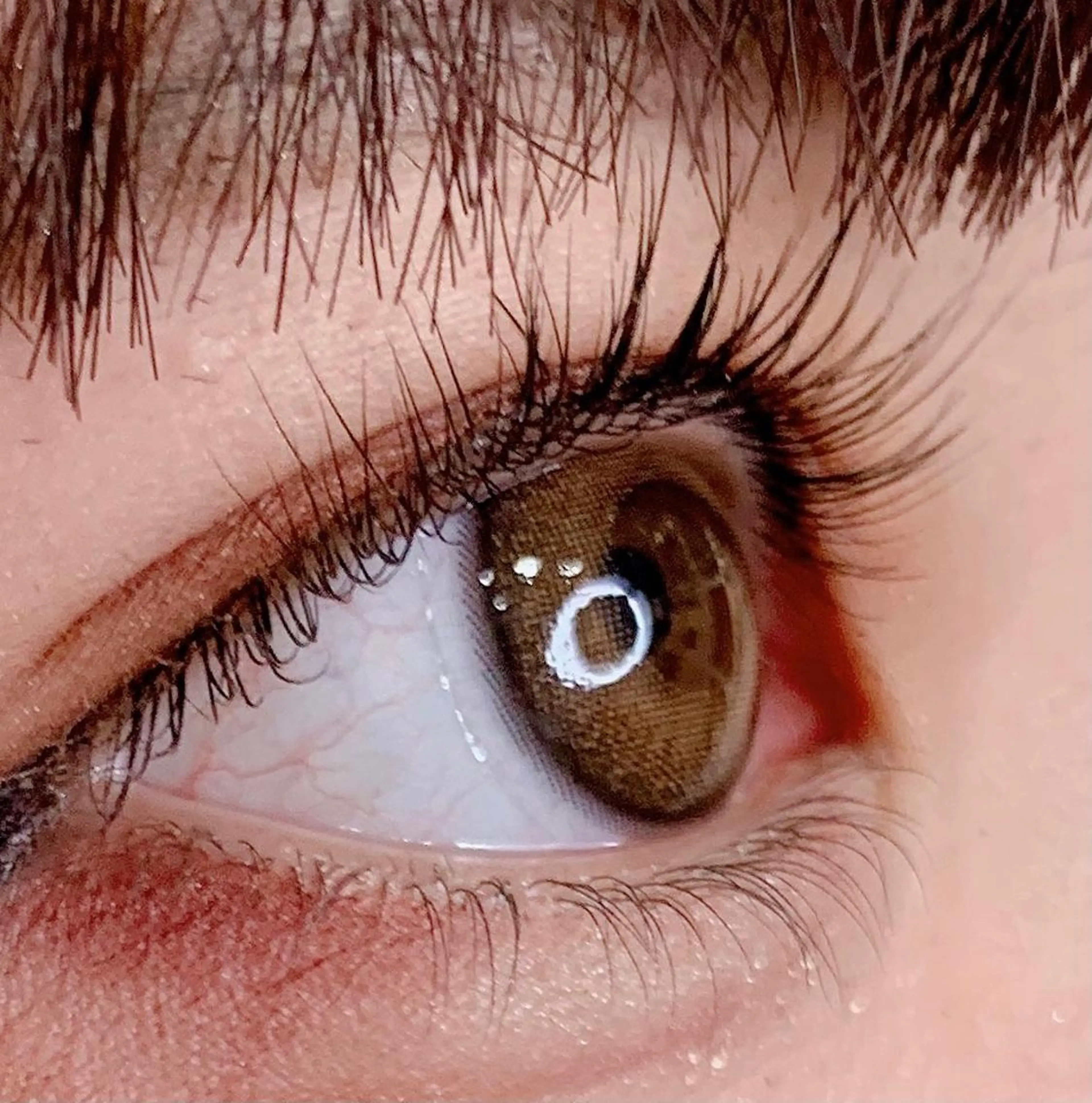 マツエク・マツパ まつげパーマ 下まつげエクステ マツパ アンドアイズ所属・杉本 ＆Eyesのマツエク・マツパデザイン